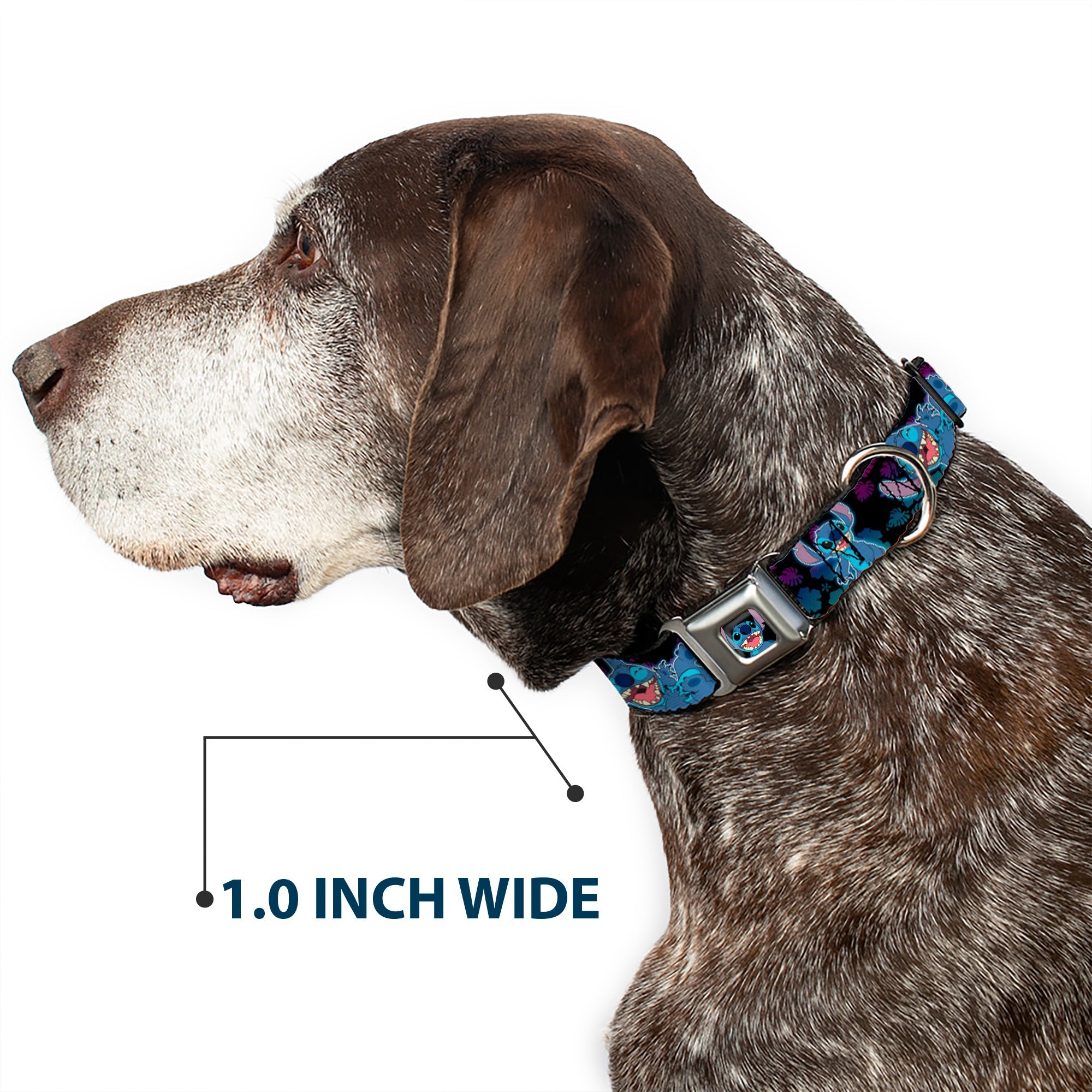 Stitch Smiling CLOSE-UP Full Color Seatbelt Buckle Collar - Stitch 2-Expressions/2-Poses Tropical Flora Black/Purple-Blue Fade