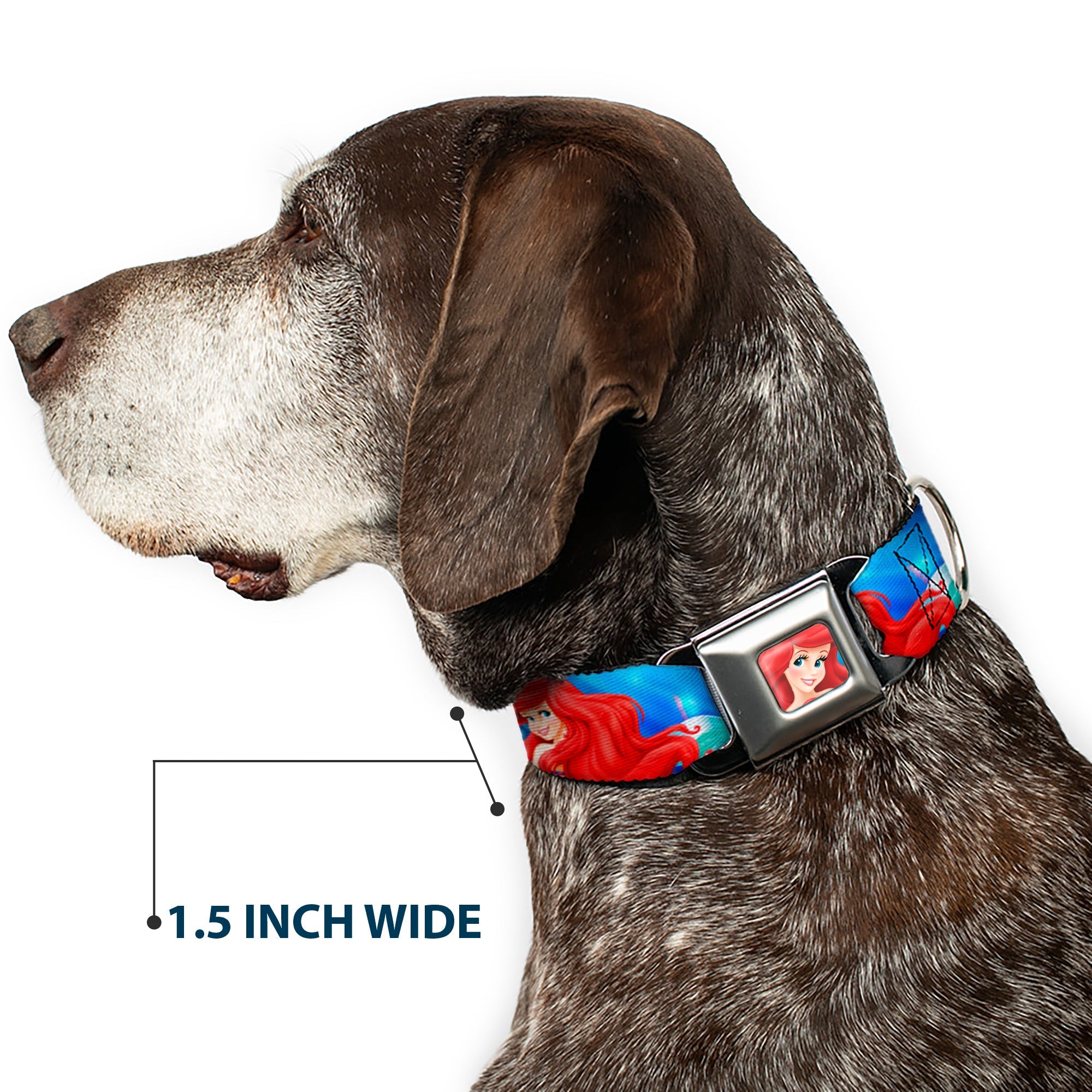 Ariel Face3 Full Color Blue Seatbelt Buckle Collar - Ariel Vivid Underwater Sparkle Poses/Castle