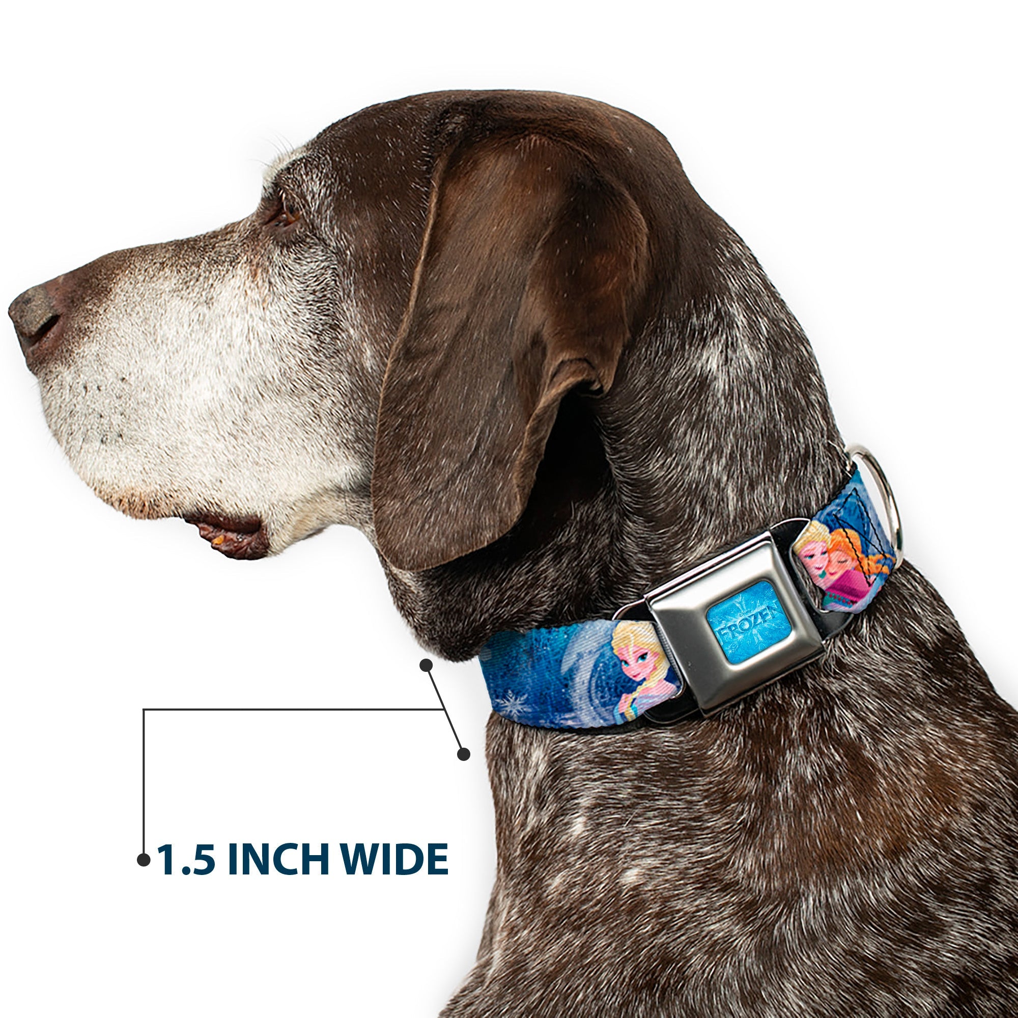 FROZEN Logo Full Color Blues Seatbelt Buckle Collar - Frozen Elsa the Snow Queen Poses/Snowflakes