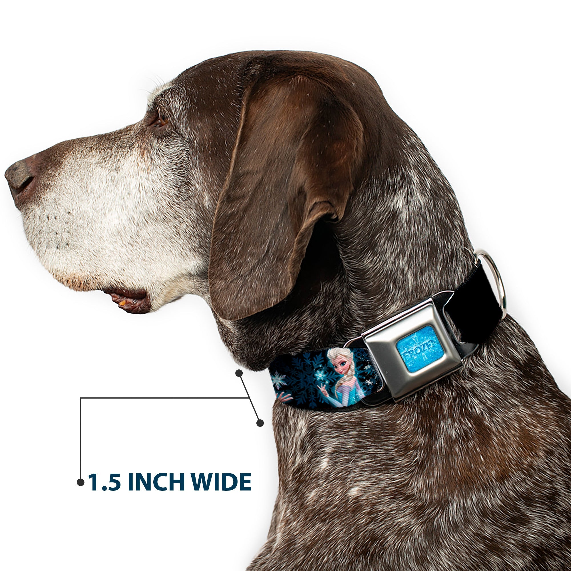 FROZEN Logo Full Color Blues Seatbelt Buckle Collar - Elsa the Snow Queen Poses PERFECT AND POWERFUL Blues/White