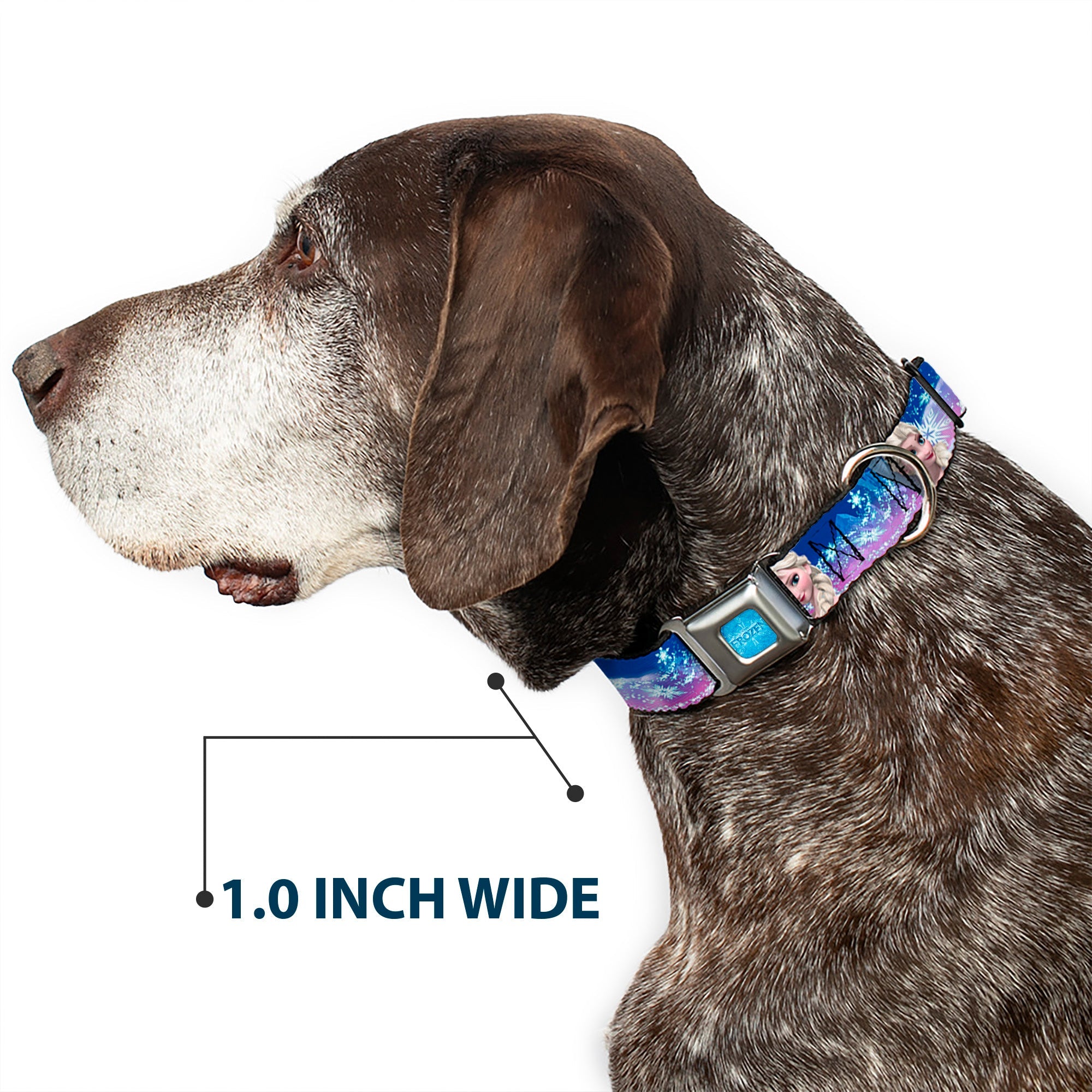 FROZEN Logo Full Color Blues Seatbelt Buckle Collar - Elsa the Snow Queen Poses/Castle & Snowy Mountains Blue-Pink Fade