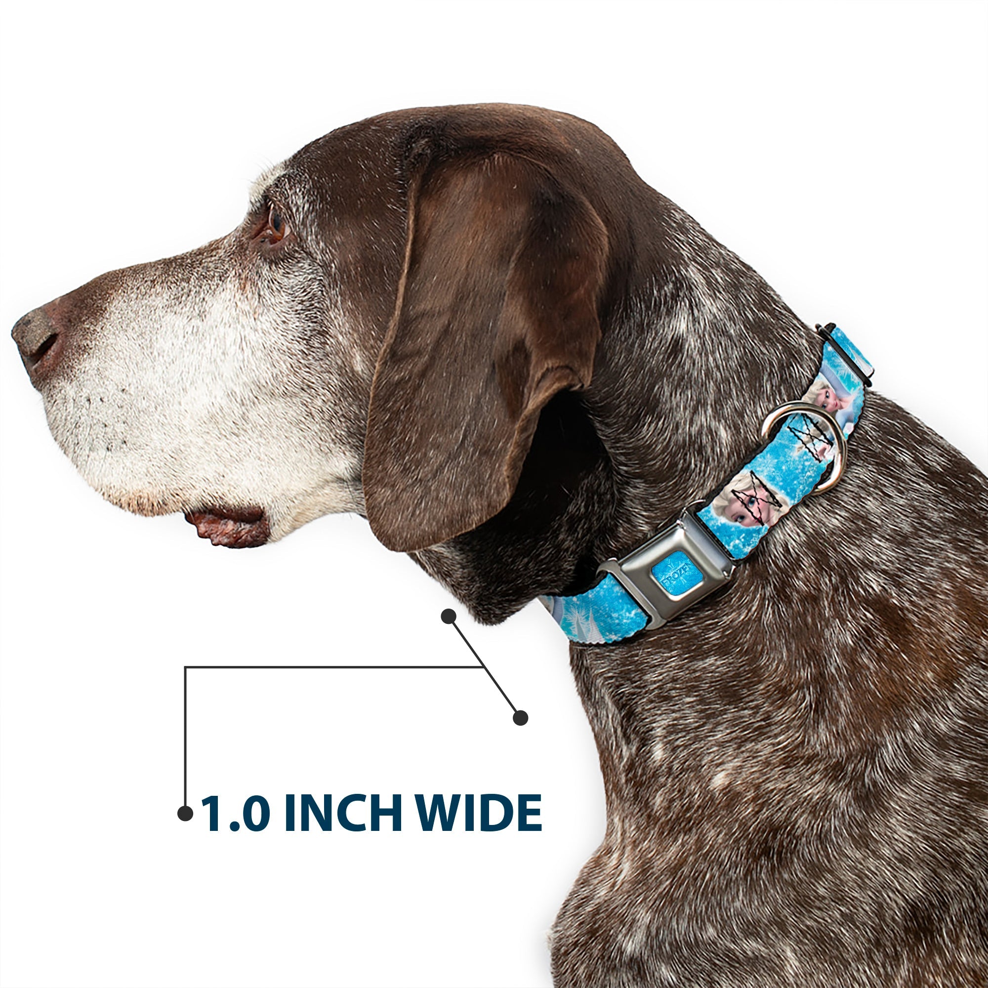 FROZEN Logo Full Color Blues Seatbelt Buckle Collar - Frozen Elsa Face/Action Pose/Snowflakes Blues/White