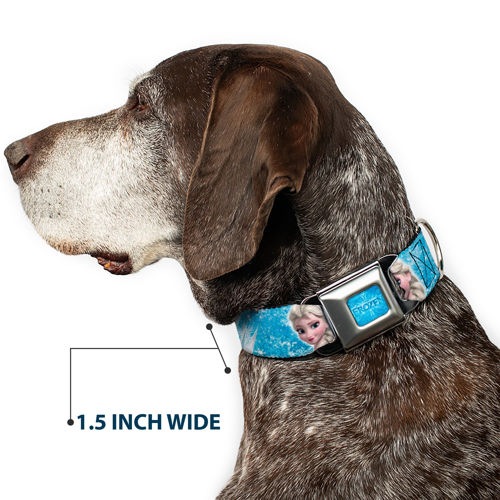 FROZEN Logo Full Color Blues Seatbelt Buckle Collar - Frozen Elsa Face/Action Pose/Snowflakes Blues/White