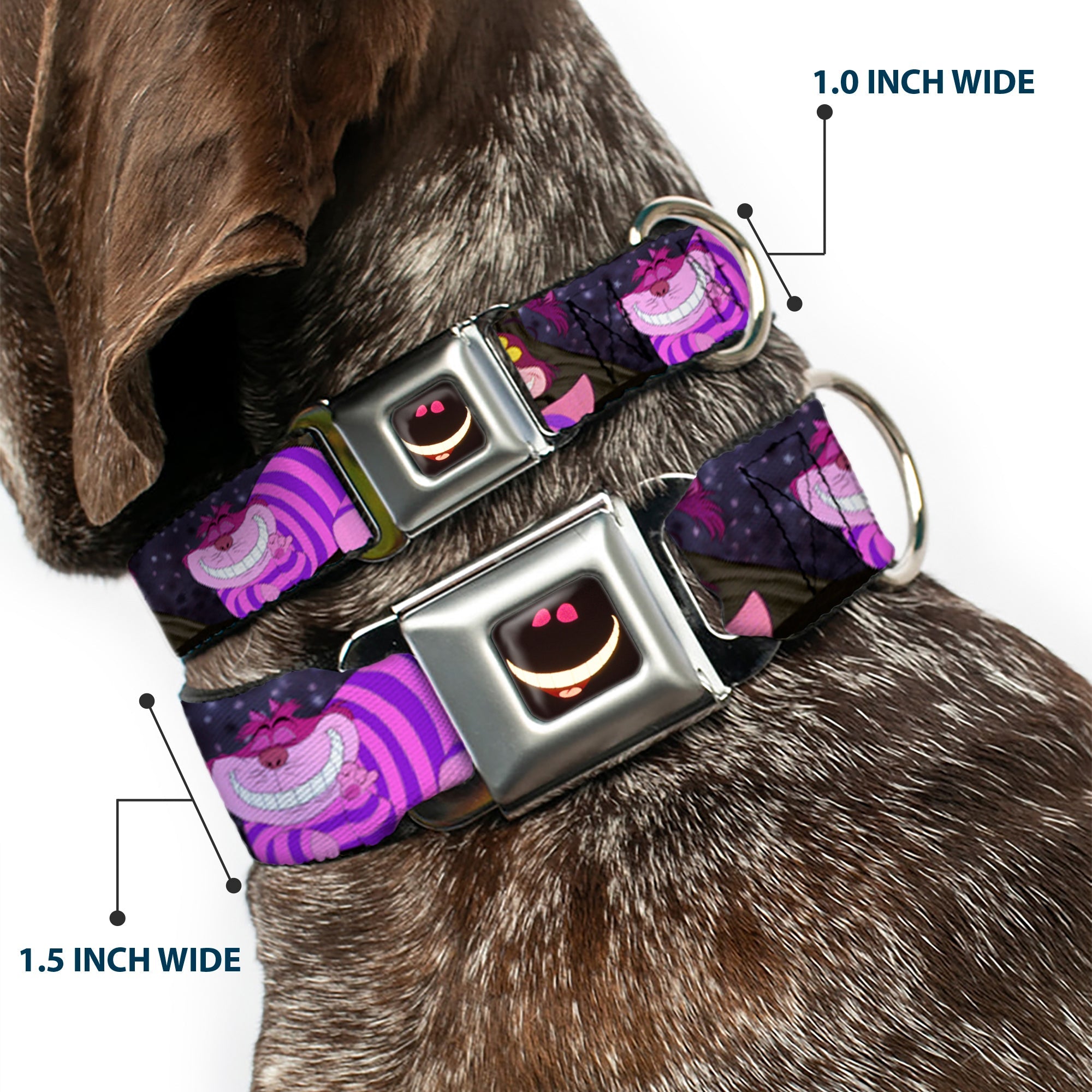 Cheshire Cat Eyes Smile Full Color Seatbelt Buckle Collar - Cheshire Cat Tree Poses