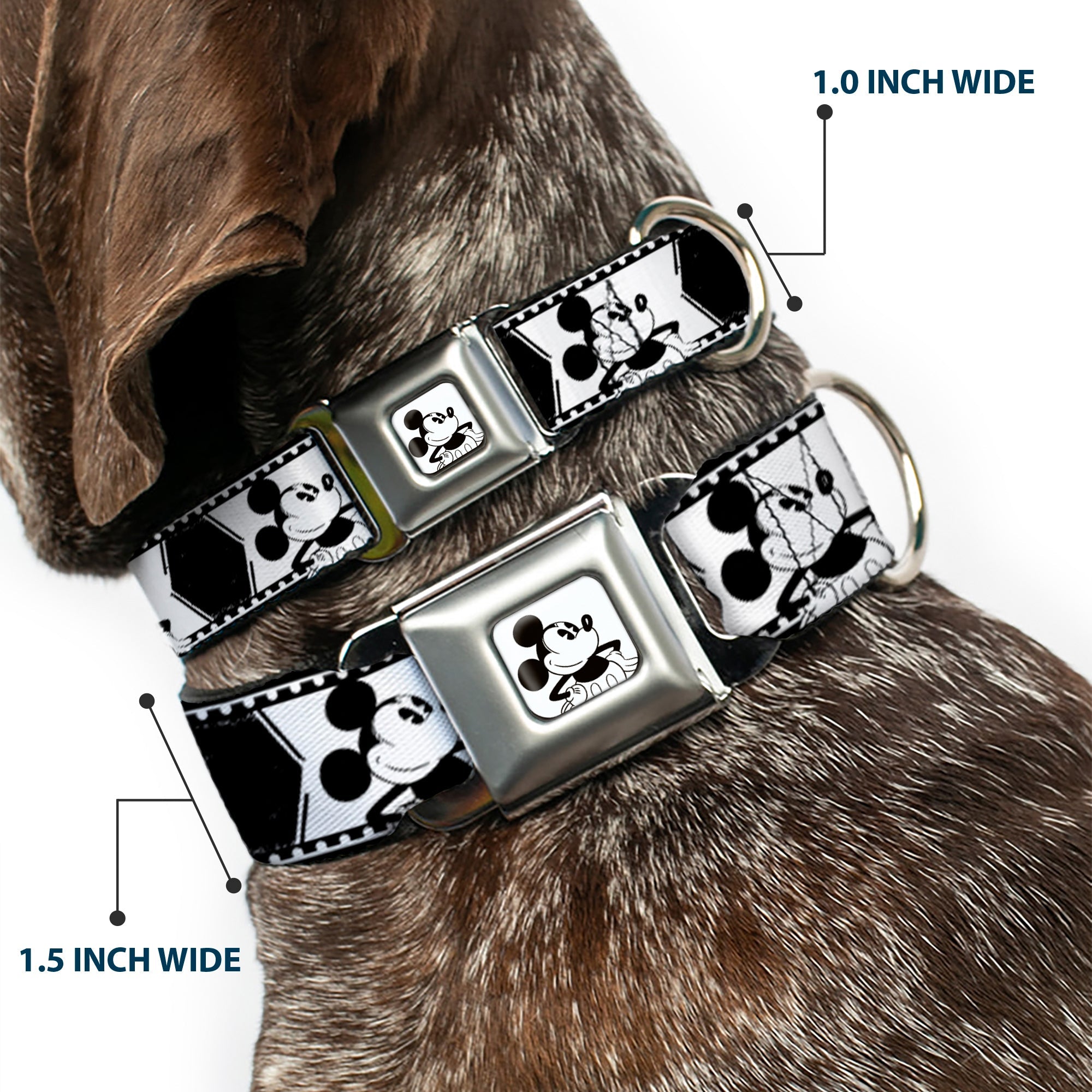 Mickey Standing Full Color White/Black Seatbelt Buckle Collar - Mickey Standing Pose Film Strip White/Black