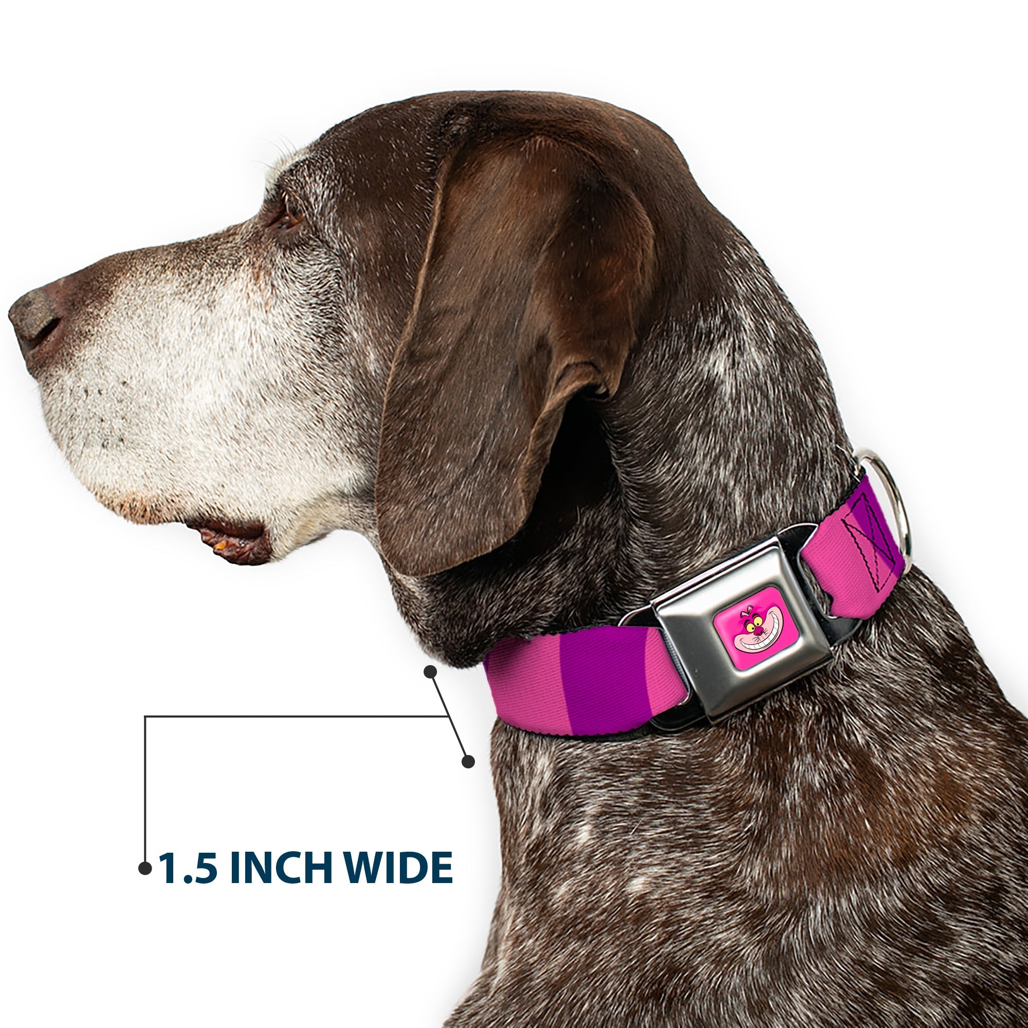Cheshire Cat Face Full Color Pink Seatbelt Buckle Collar - Cheshire Cat Stripe Pink/Purple