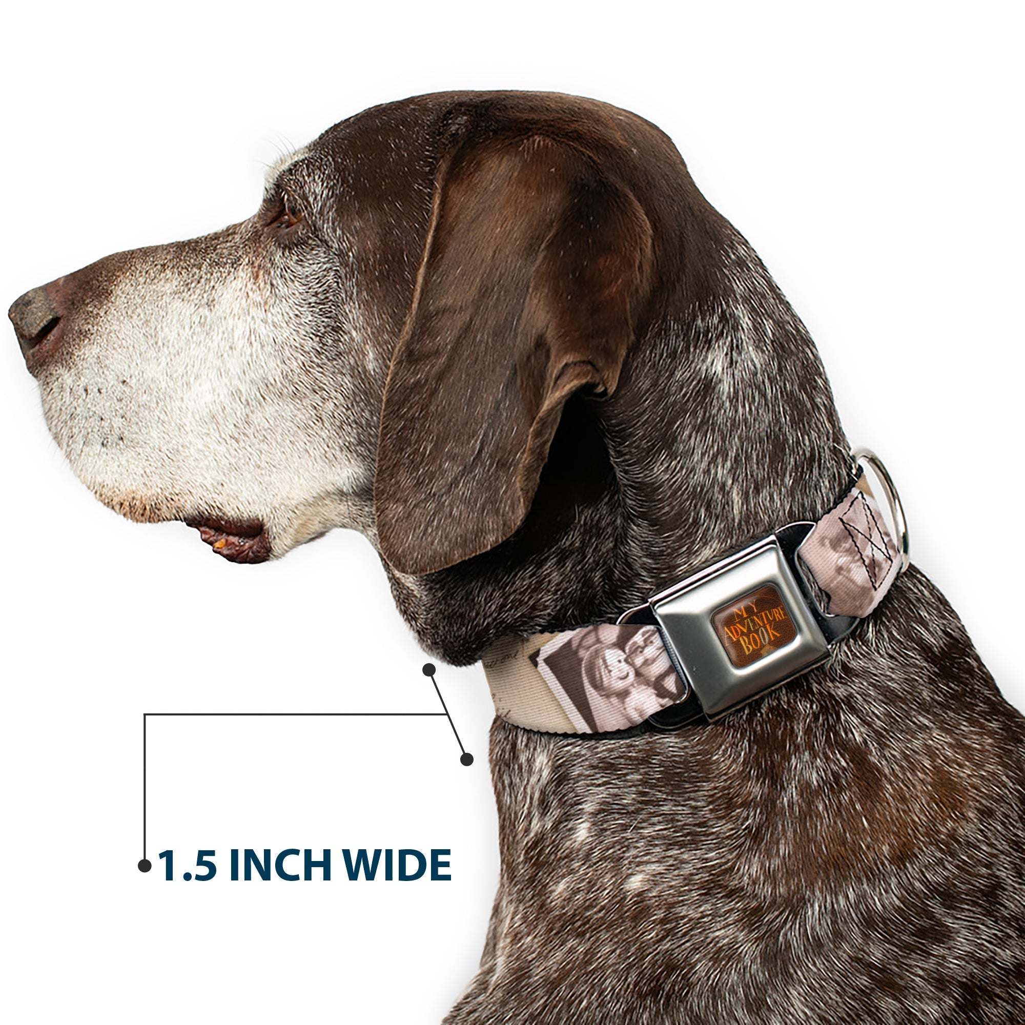 Up MY ADVENTURE BOOK Cover Full Color Seatbelt Buckle Collar - Up Adventure Book Snapshots/Post Cards