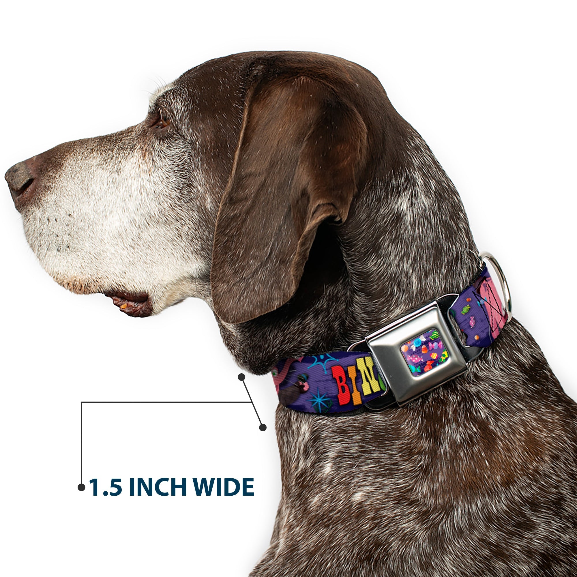 Scattered Candy Full Color Purples Seatbelt Buckle Collar - BING BONG Poses/Candy Purples/Multi Color