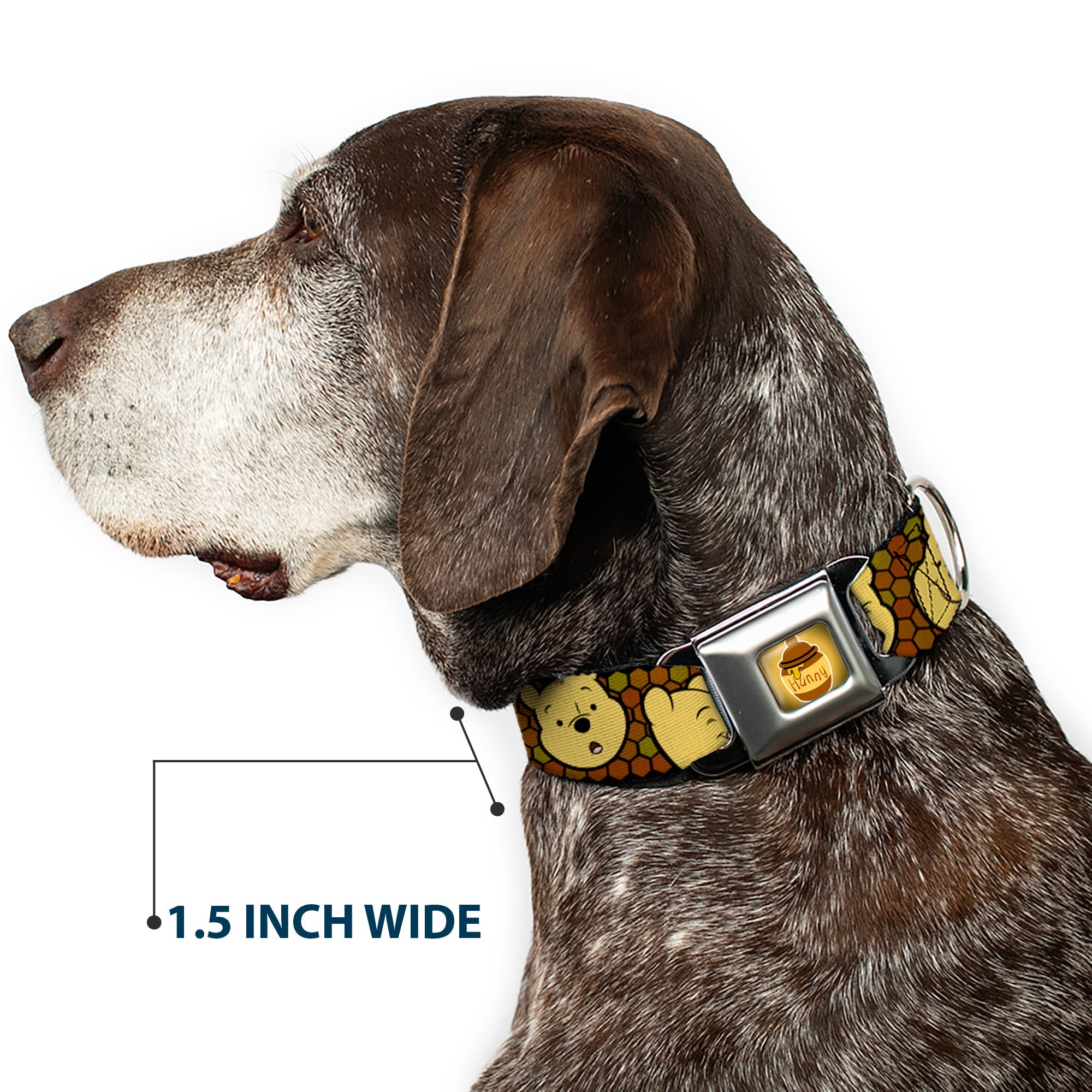 HUNNY Pot Full Color Black/Browns Seatbelt Buckle Collar - Winnie the Pooh Expressions/Honeycomb Black/Browns