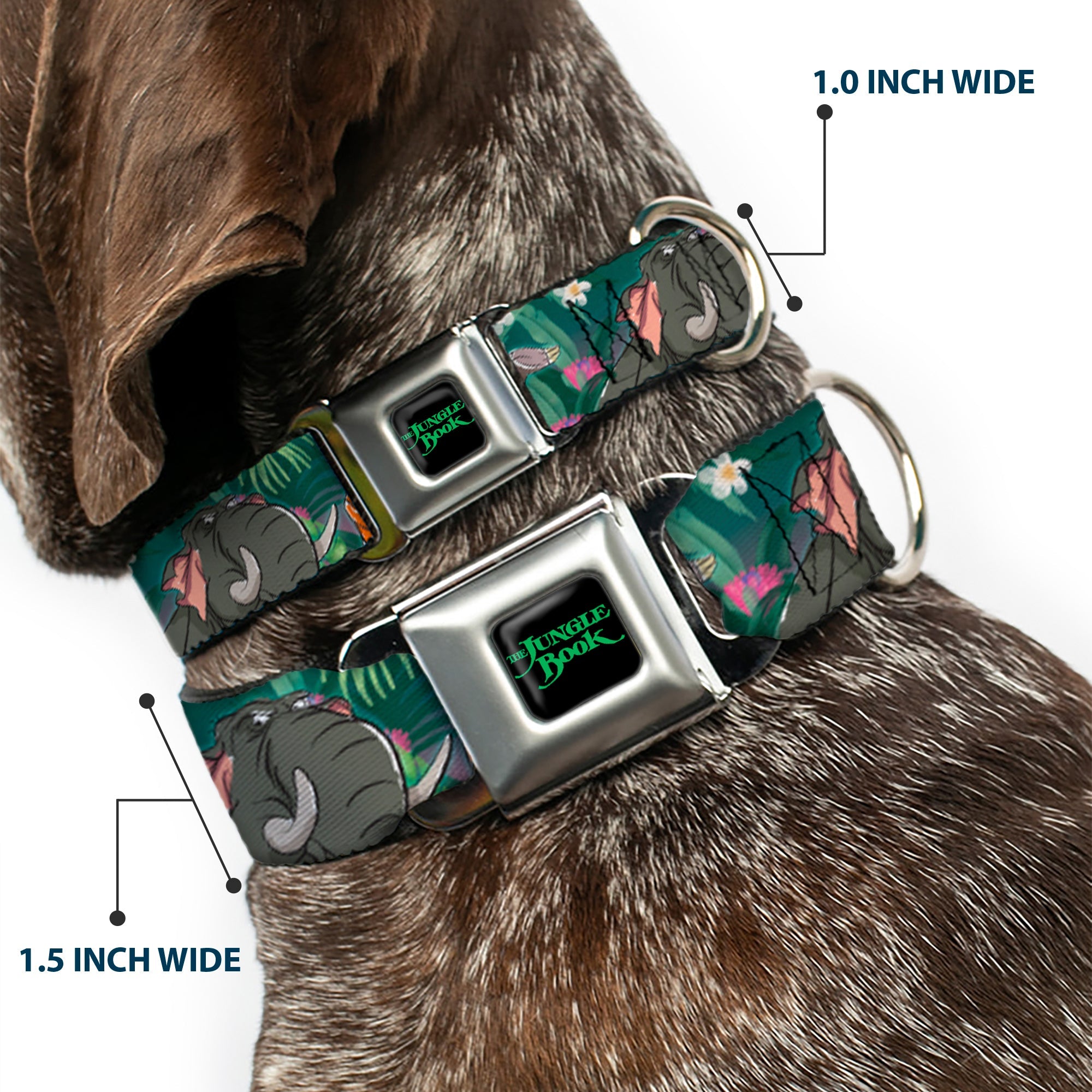 THE JUNGLE BOOK Full Color Black/Green Seatbelt Buckle Collar - The Jungle Book 8-Character Group Greens