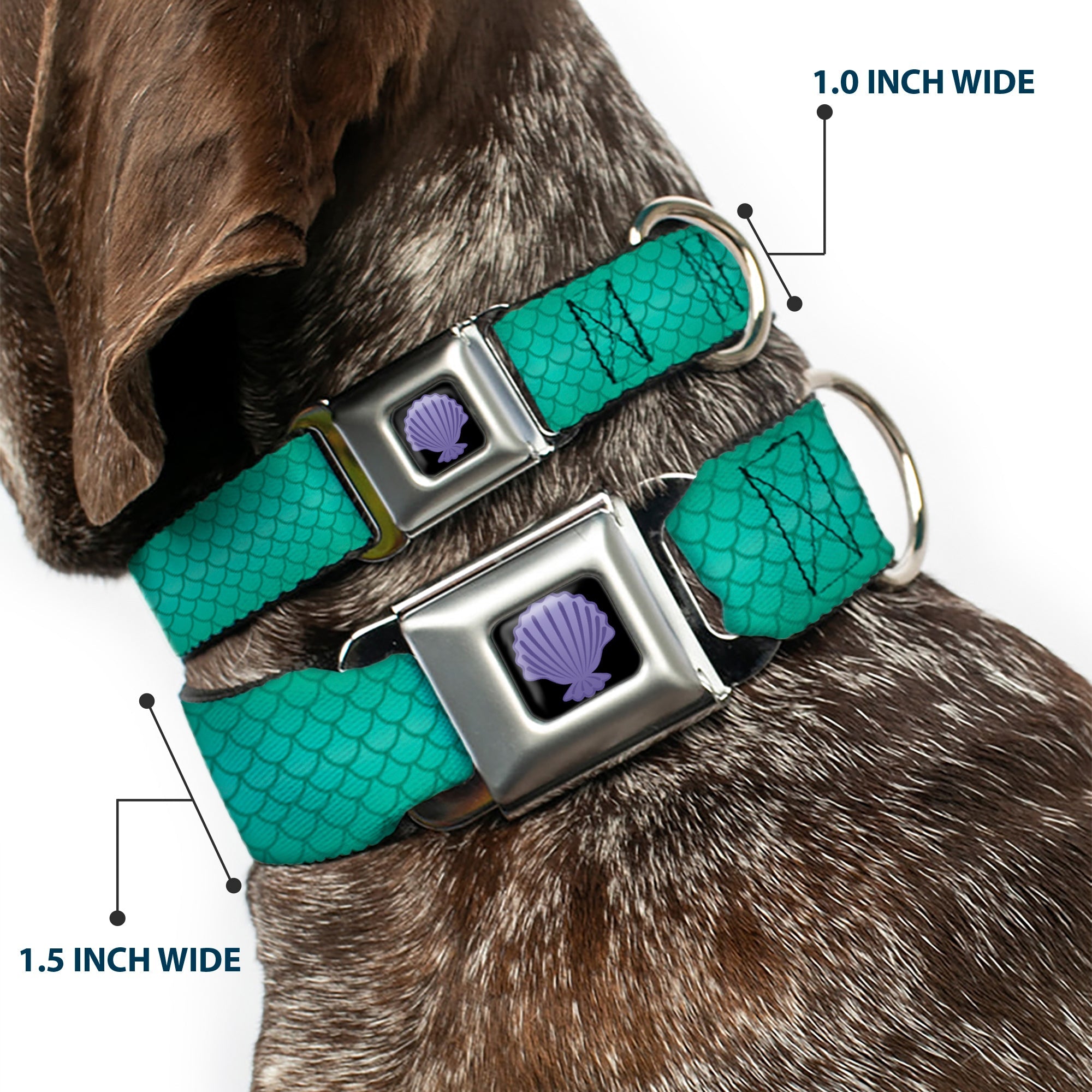 Little Mermaid Clam Shell Full Color Black/Purples Seatbelt Buckle Collar - Ariel's Scales Turquoise Blues