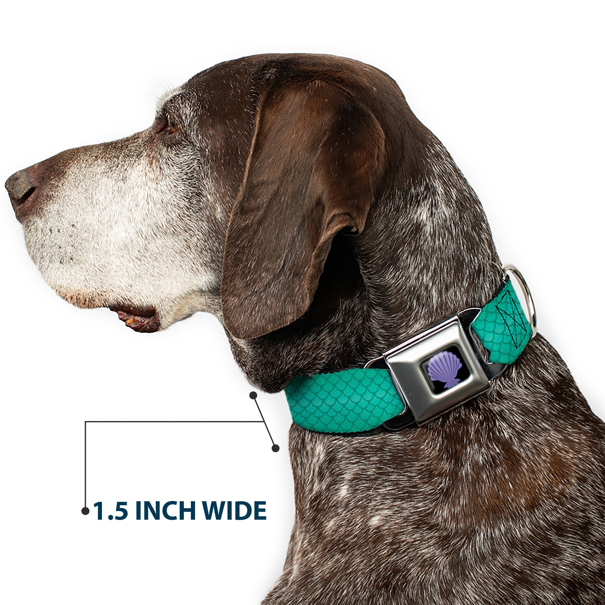 Little Mermaid Clam Shell Full Color Black/Purples Seatbelt Buckle Collar - Ariel's Scales Turquoise Blues