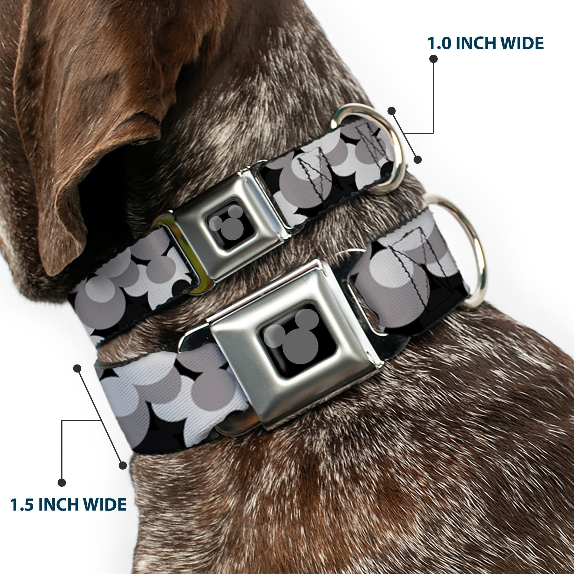 Mickey Mouse Head Silhouette Black Silver Seatbelt Buckle Collar - Mickey Mouse Head Stacked Black/Grays