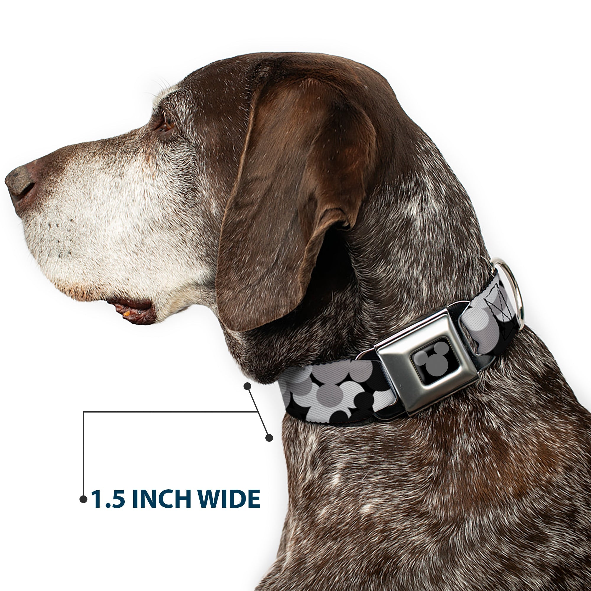 Mickey Mouse Head Silhouette Black Silver Seatbelt Buckle Collar - Mickey Mouse Head Stacked Black/Grays