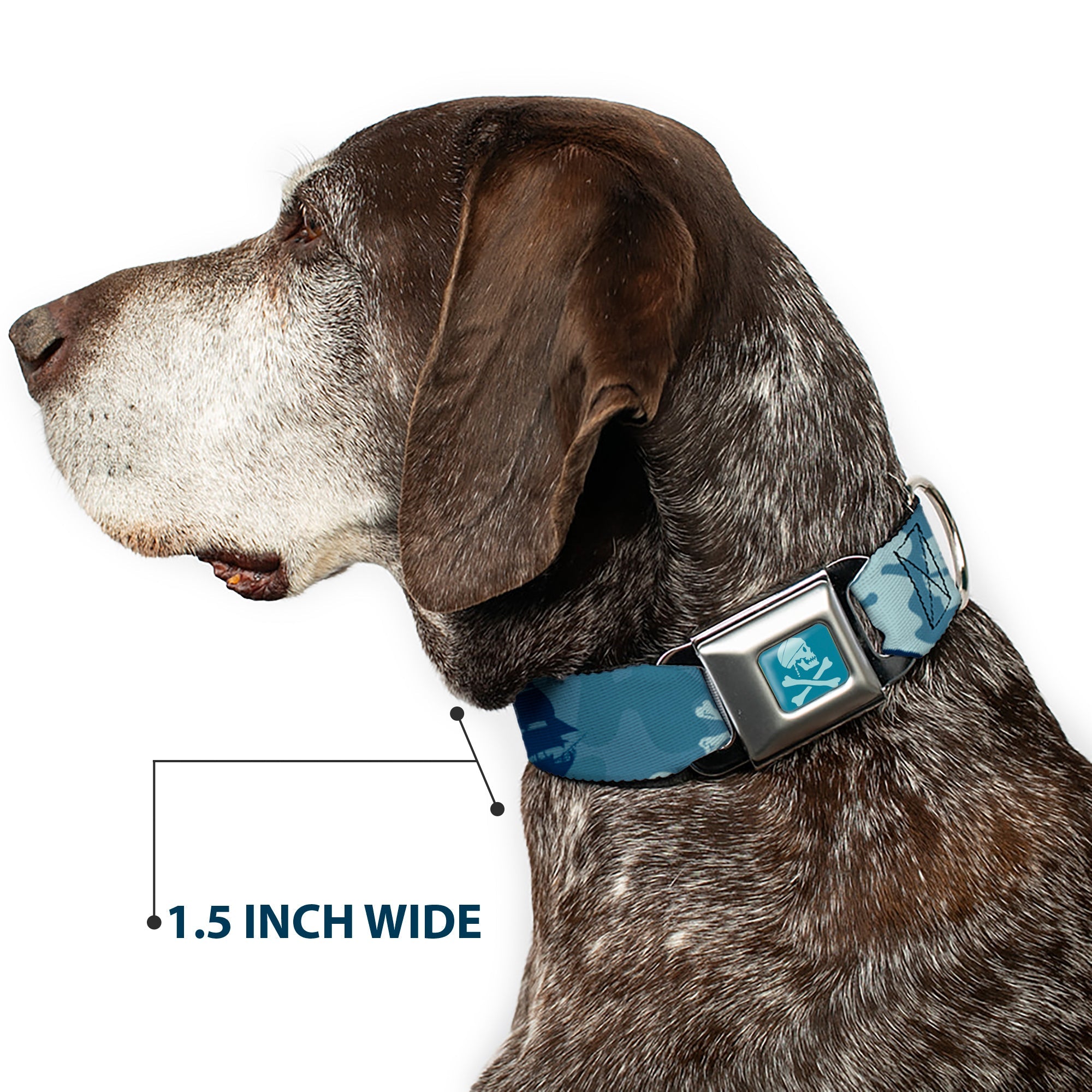 Jack Sparrow's Flag Skull Icon Blues Seatbelt Buckle Collar - Jack Sparrow's Flag Icons/Black Pearl/Sharks Blues
