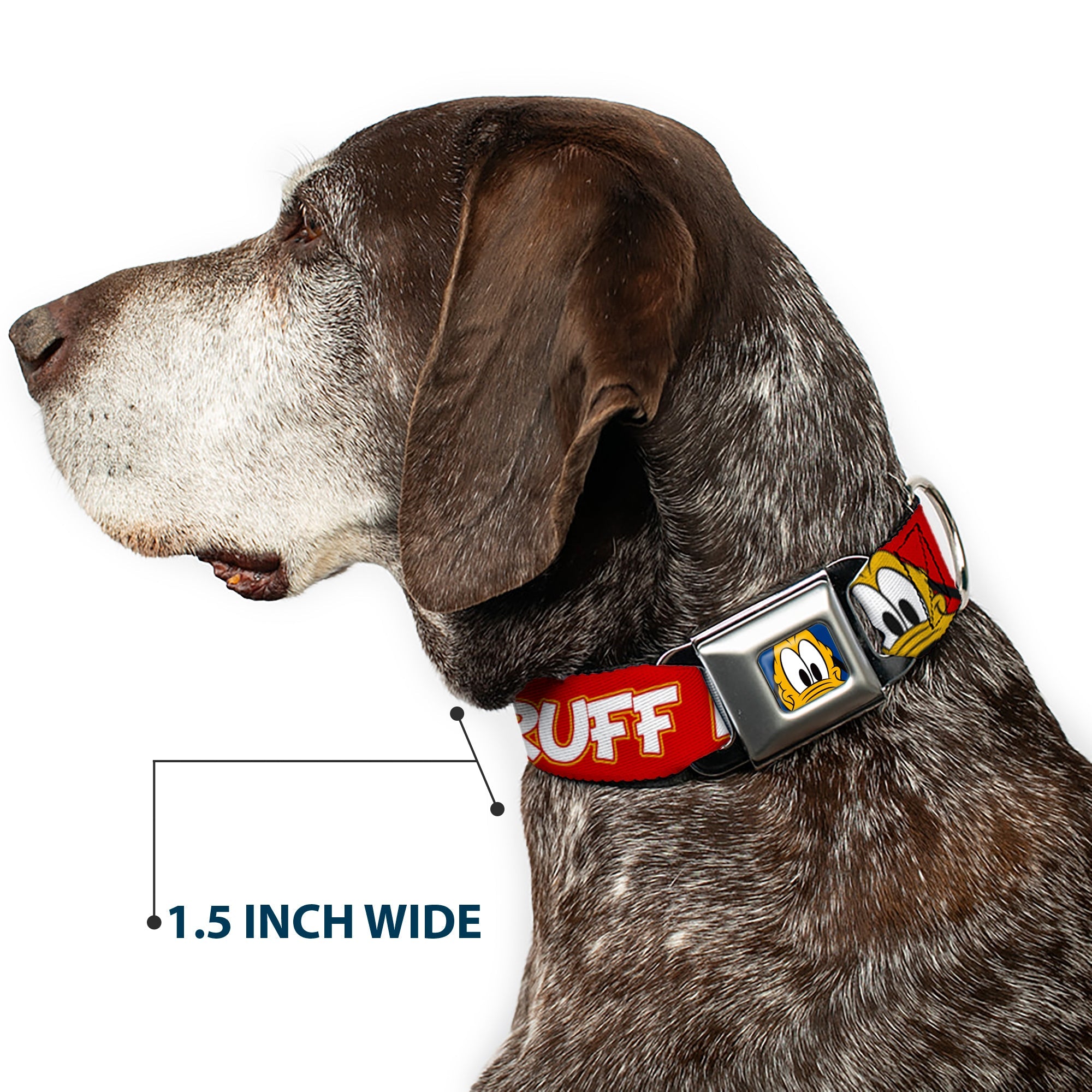 Pluto Face CLOSE-UP Full Color Blue Seatbelt Buckle Collar - Pluto 2-Pose IT'S A RUFF LIFE Red/Yellow/White