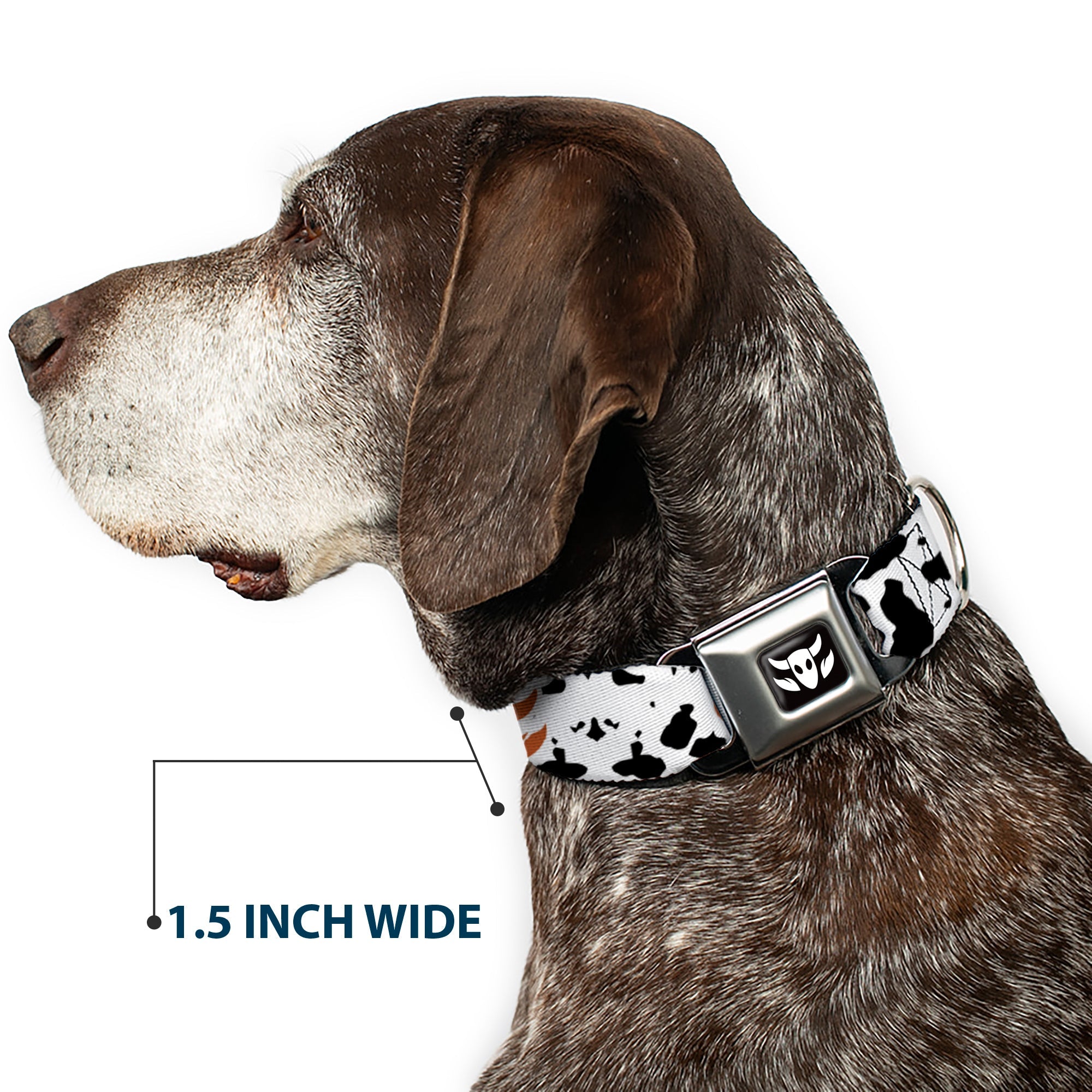 Toy Story Woody Cowboy Bull Icon Full Color Black/White Seatbelt Buckle Collar - Toy Story Woody Bounding Cowboy Cow Print White/Black/Brown