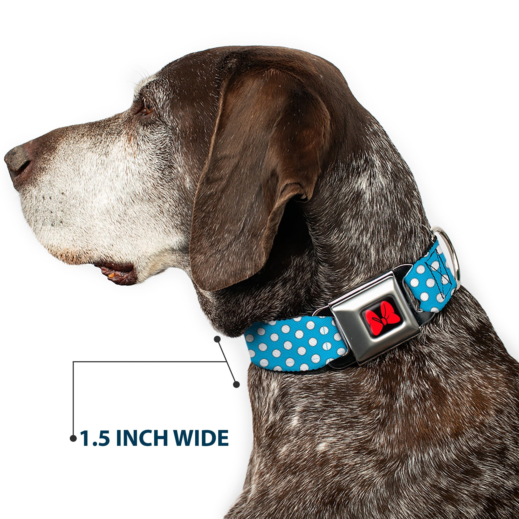 Dog Collar DYYR-Minnie Mouse Bow Full Color Black/Red - Minnie Mouse Dots Blue/Black/White