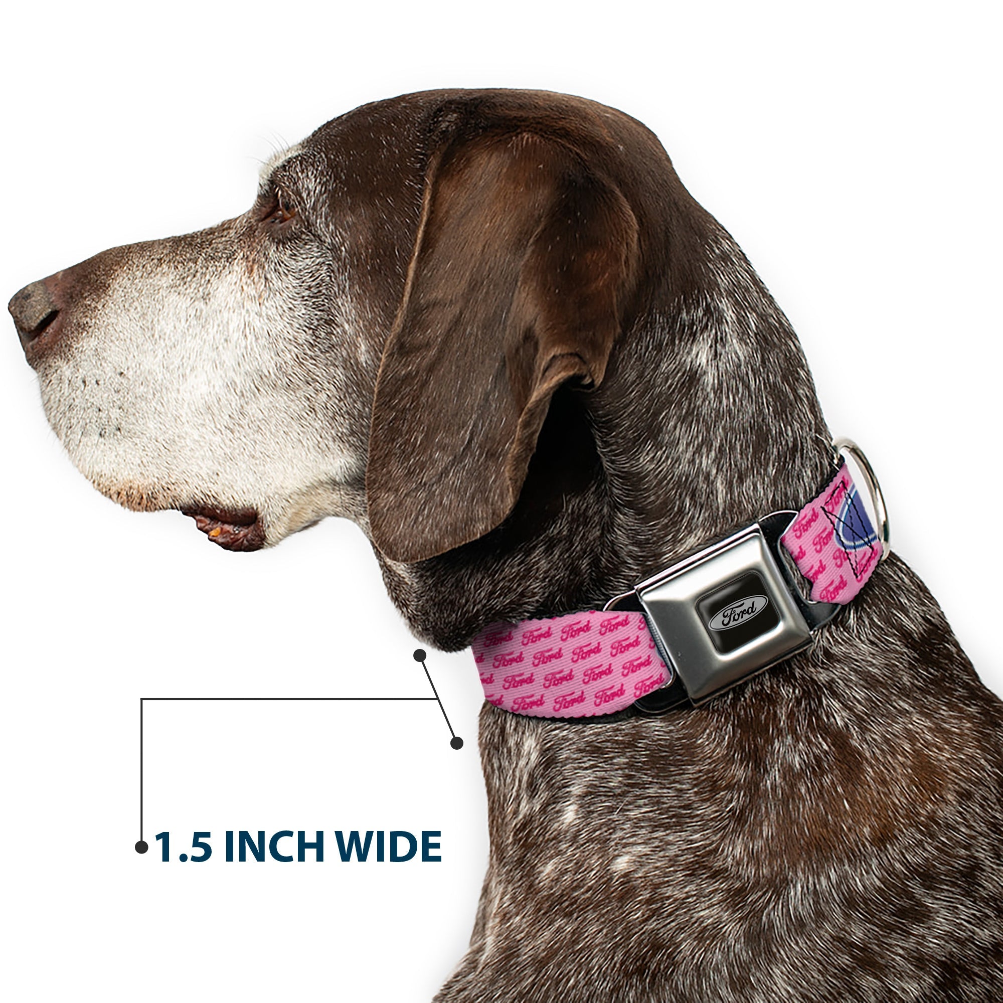 Ford Emblem Seatbelt Buckle Collar - Ford Oval w/Text PINK REPEAT