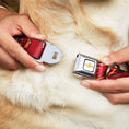 Load image into Gallery viewer, Flash 2023 Title Logo Full Color White/Yellow/Red Seatbelt Buckle Collar - The Flash 2023 2-Poses Close-Up Reds
