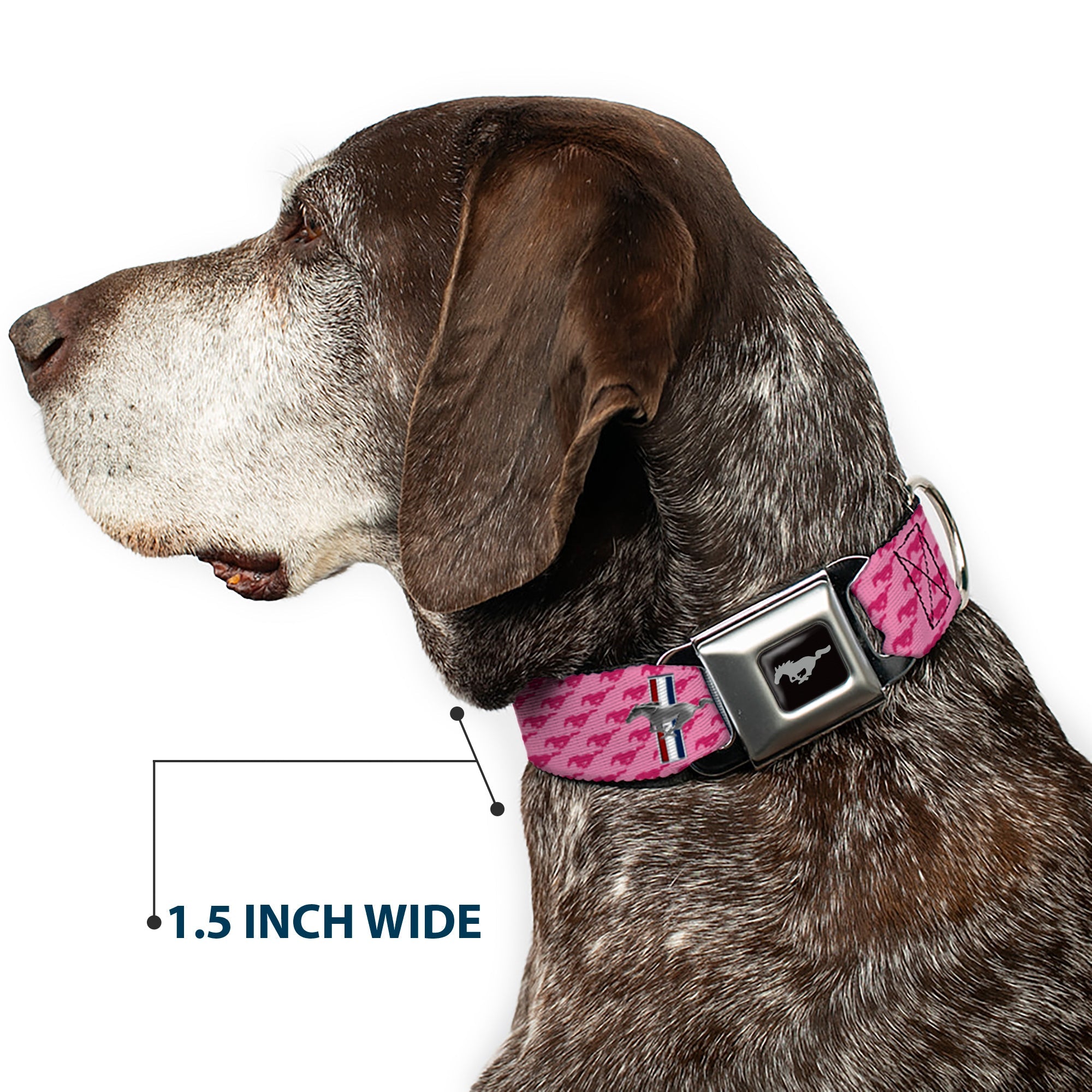 Ford Mustang Emblem Seatbelt Buckle Collar - Ford Mustang w/Bars w/Text PINK LOGO REPEAT
