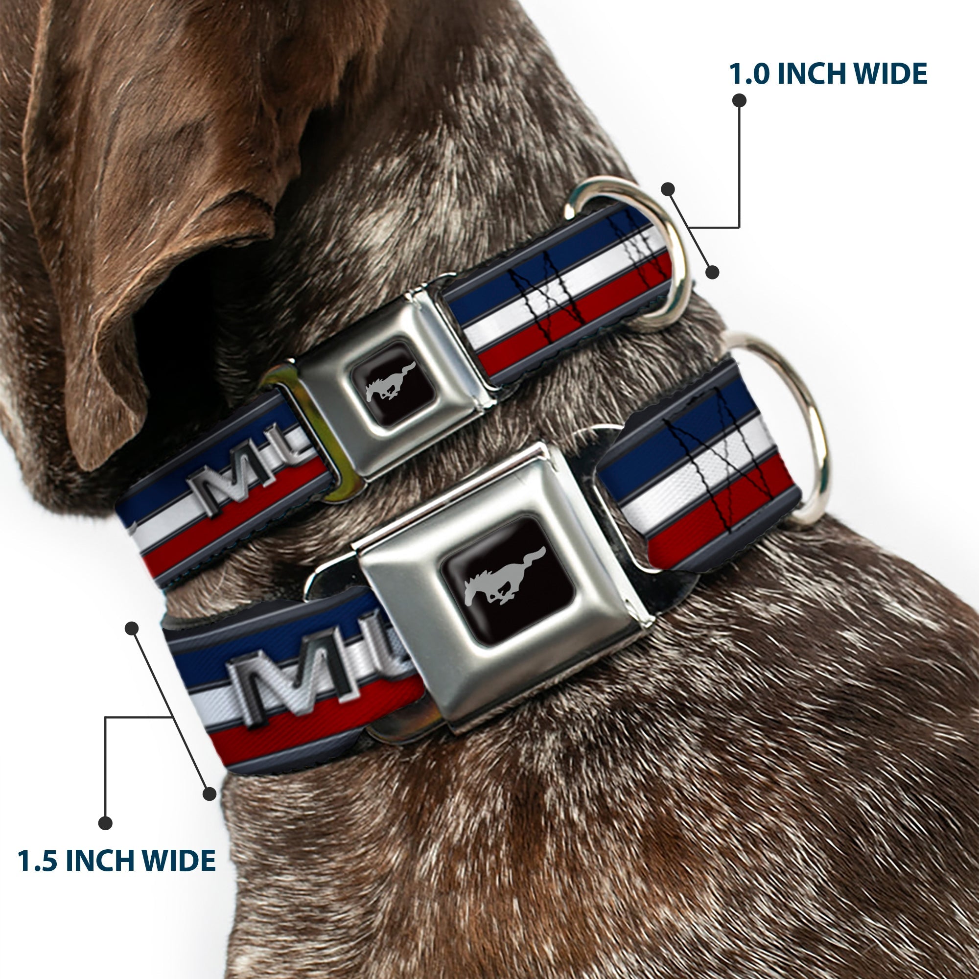 Ford Mustang Emblem Seatbelt Buckle Collar - Mustang/Text w/Tri-Bar Stripe