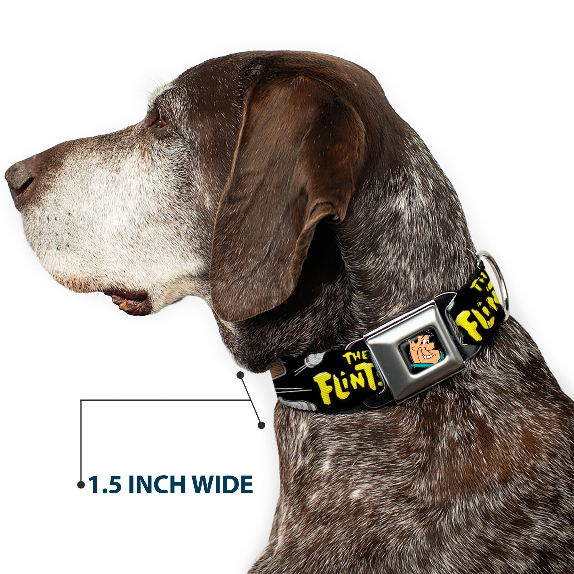 Fred Face Full Color Black Seatbelt Buckle Collar - Dog Collar FSE-Fred Face Full Color Black - THE FLINTSTONES Fred Bowling Poses/Bowling Pins Black