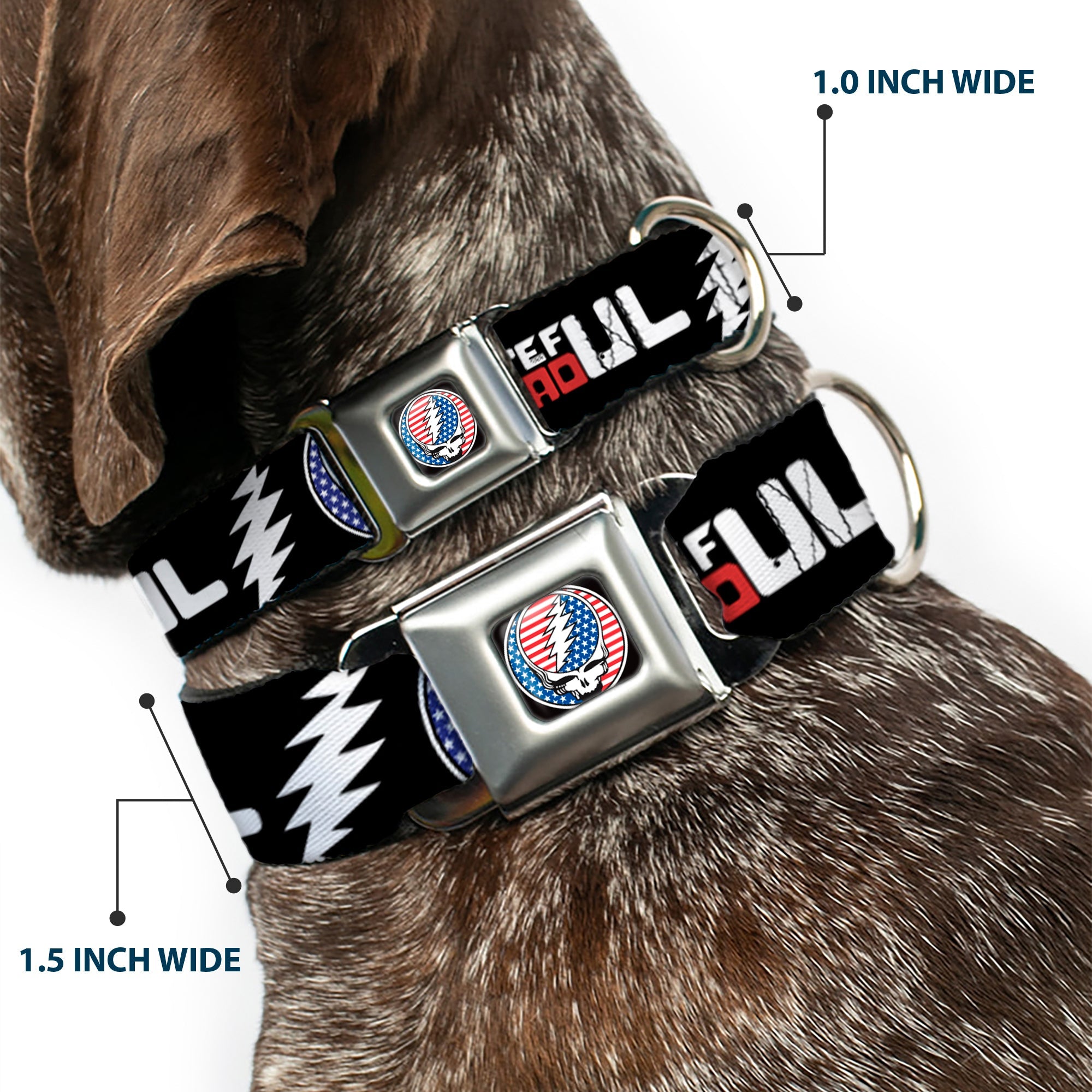 Grateful Dead Steal Your Face Stars and Stripes Logo Full Color Black/White/Red/Blue Seatbelt Buckle Collar - GRATEFUL DEAD Text with Steal Your Face Stars and Stripes Logo Black/White/Red/Blue