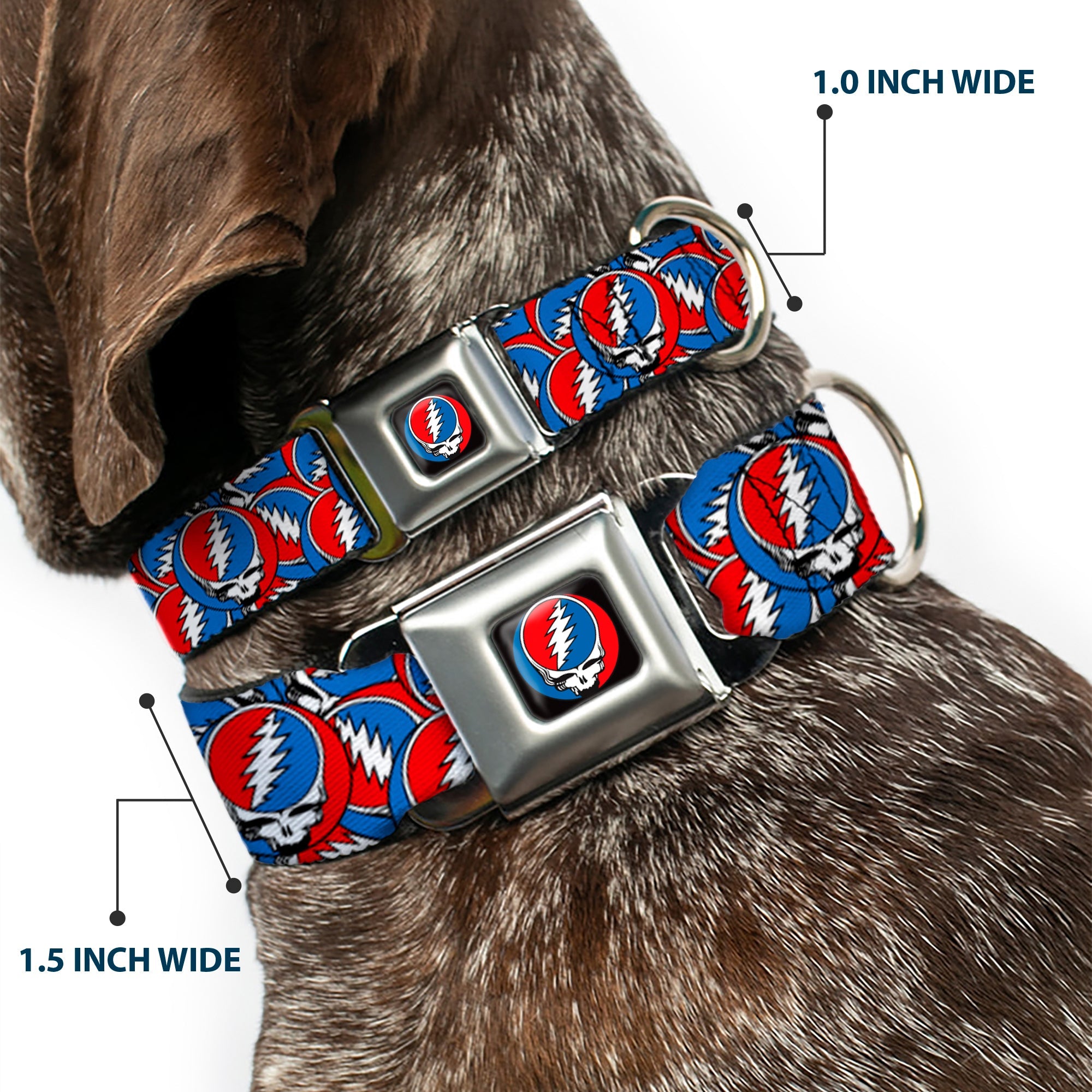 Grateful Dead Steal Your Face Logo Full Color Black/Red/White/Blue Seatbelt Buckle Collar - Grateful Dead Steal Your Face Logo Stacked Red/White/Blue
