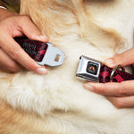 House of the Dragon Eye Throne Icon Full Color Black/Gray/Orange Seatbelt Buckle Collar - HOUSE OF THE DRAGON Dragon Icon Black/Red/White