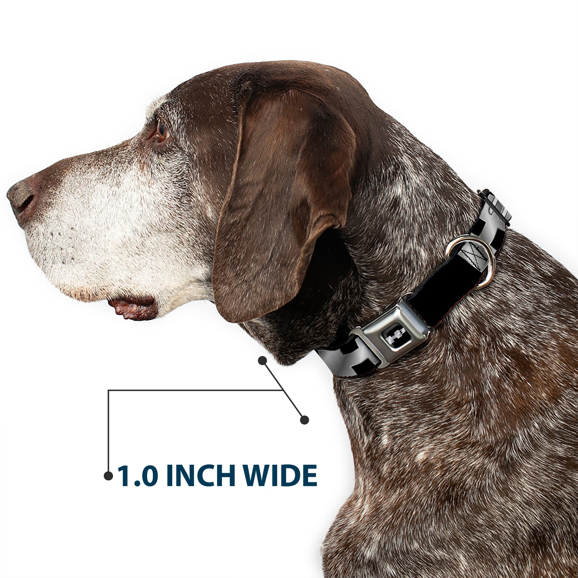 H3 Seatbelt Buckle Collar - H3 Black/Silver Logo REPEAT