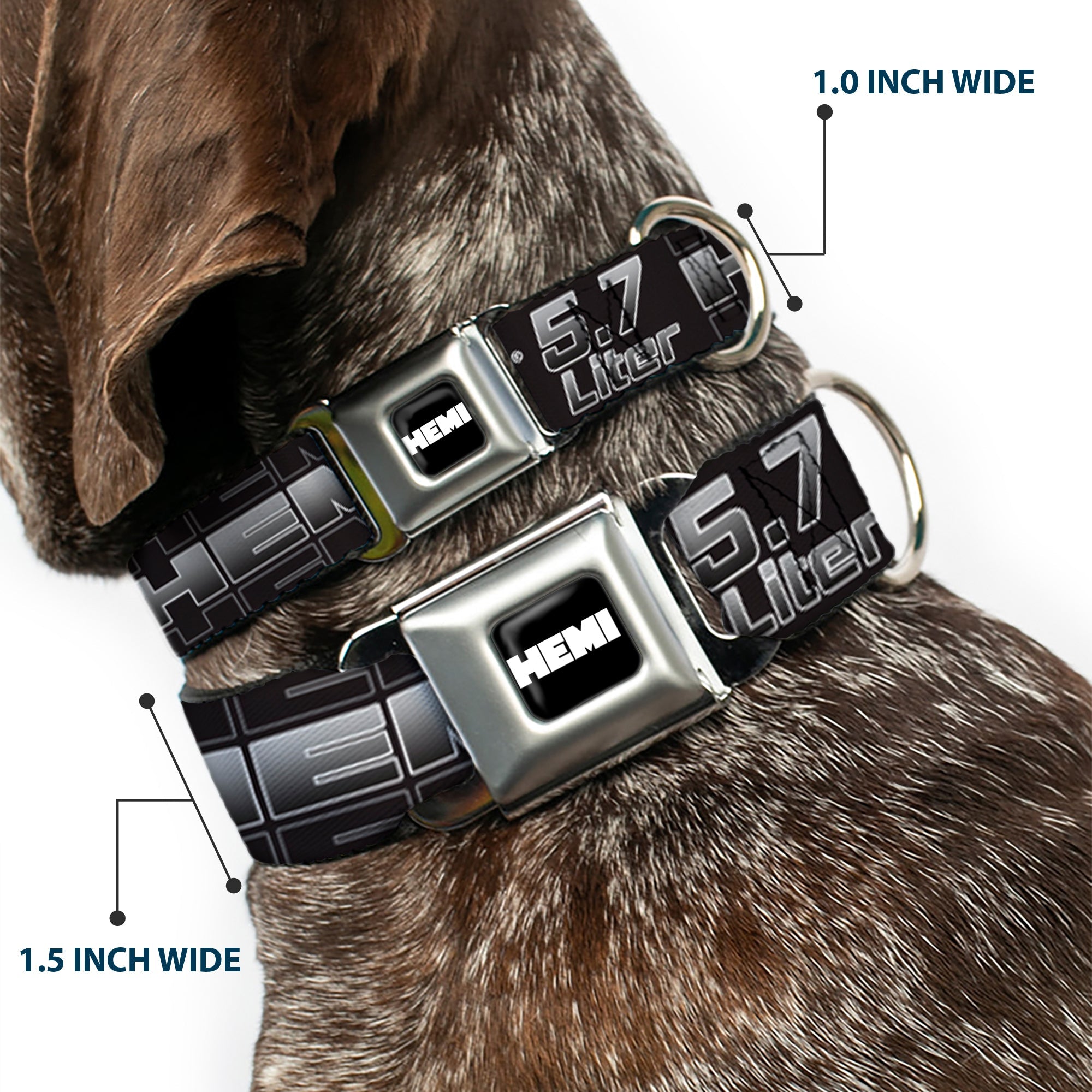 HEMI Bold Full Color Black White Seatbelt Buckle Collar - HEMI 5.7 LITER Black/White/Silver-Fade
