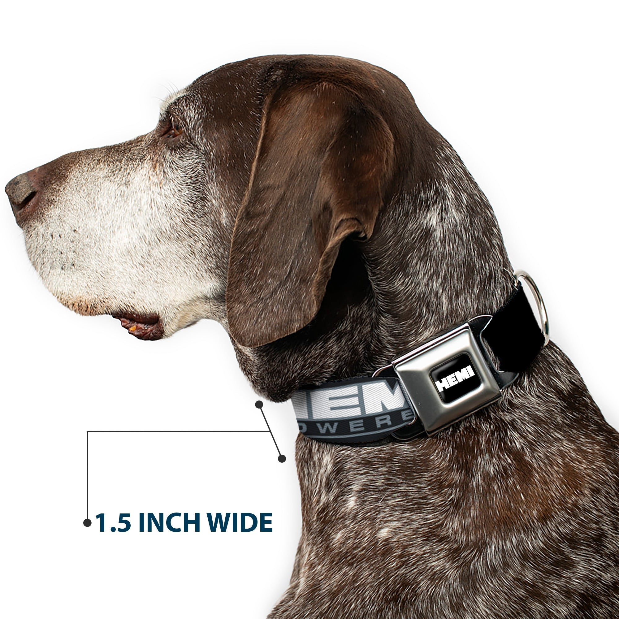 HEMI Bold Full Color Black/White Seatbelt Buckle Collar - HEMI POWERED Logo Black/Gray/White