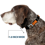 HEMI 426 Logo Full Color Black Orange Seatbelt Buckle Collar - HEMI 426 Logo Repeat Black/Orange