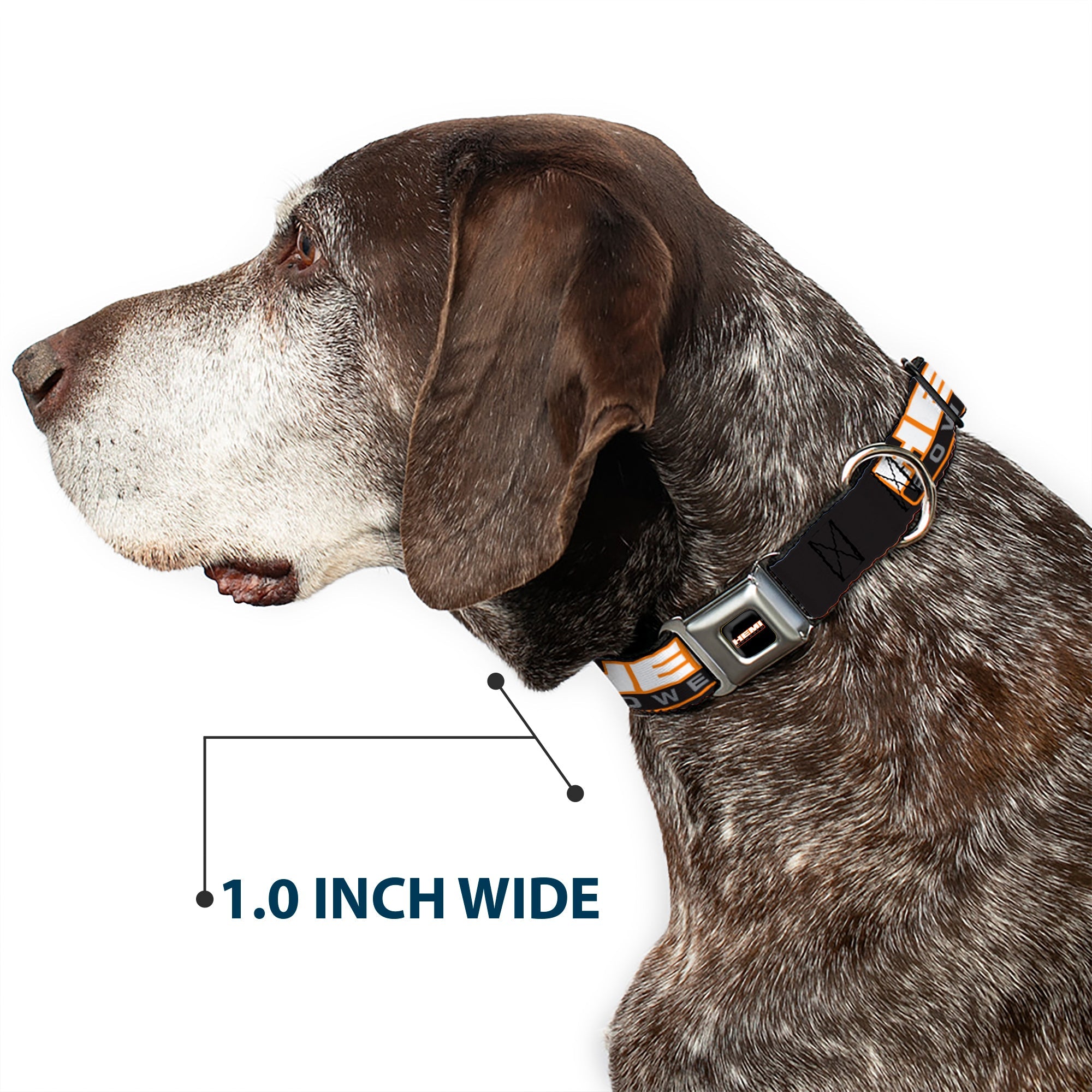 HEMI POWERED Logo Full Color Black/Orange/White/Gray Seatbelt Buckle Collar - HEMI POWERED Logo Repeat Black/Orange/White/Gray