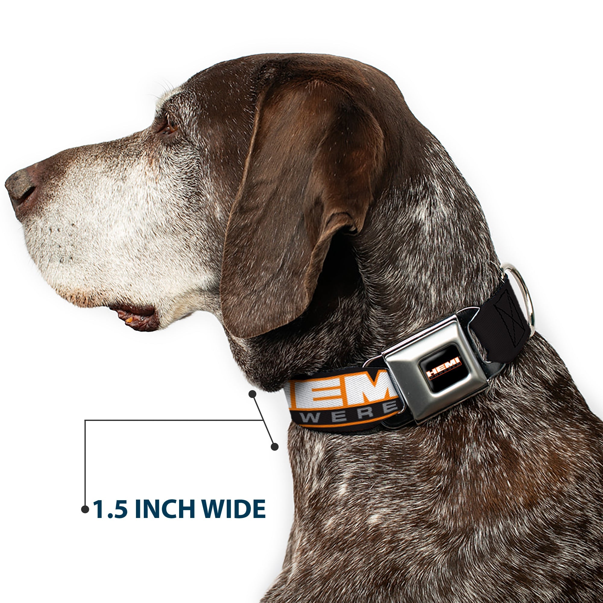HEMI POWERED Logo Full Color Black/Orange/White/Gray Seatbelt Buckle Collar - HEMI POWERED Logo Repeat Black/Orange/White/Gray