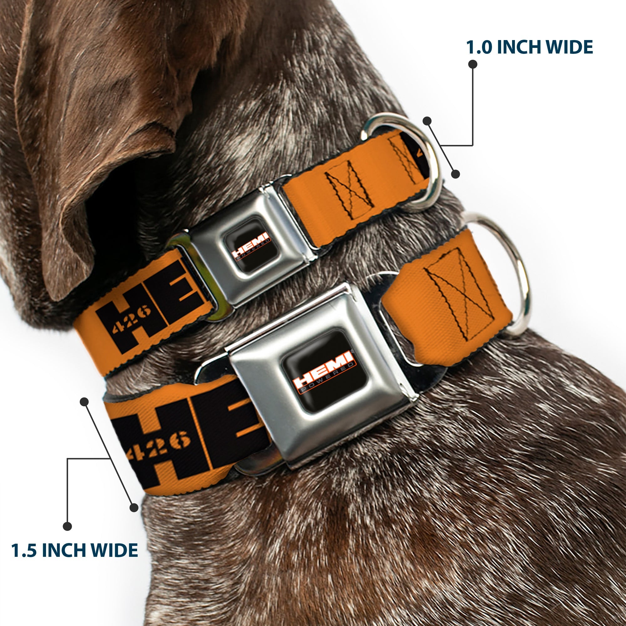 HEMI 426 Logo Full Color Orange Black Seatbelt Buckle Collar - HEMI 426 Logo Repeat Orange/Black