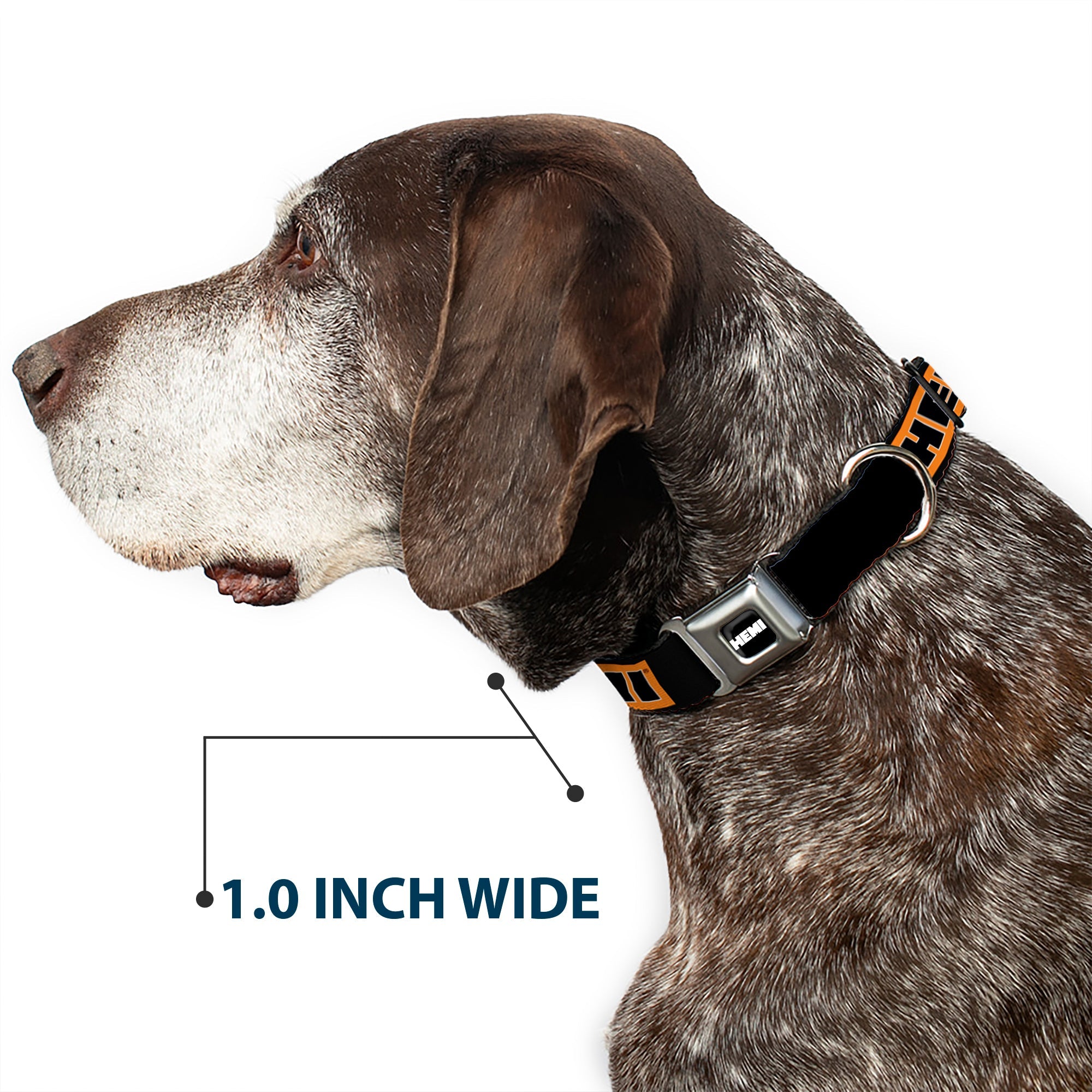 HEMI Bold Full Color Black/Orange/White/Black Seatbelt Buckle Collar - HEMI Bold Black/Orange/White/Black