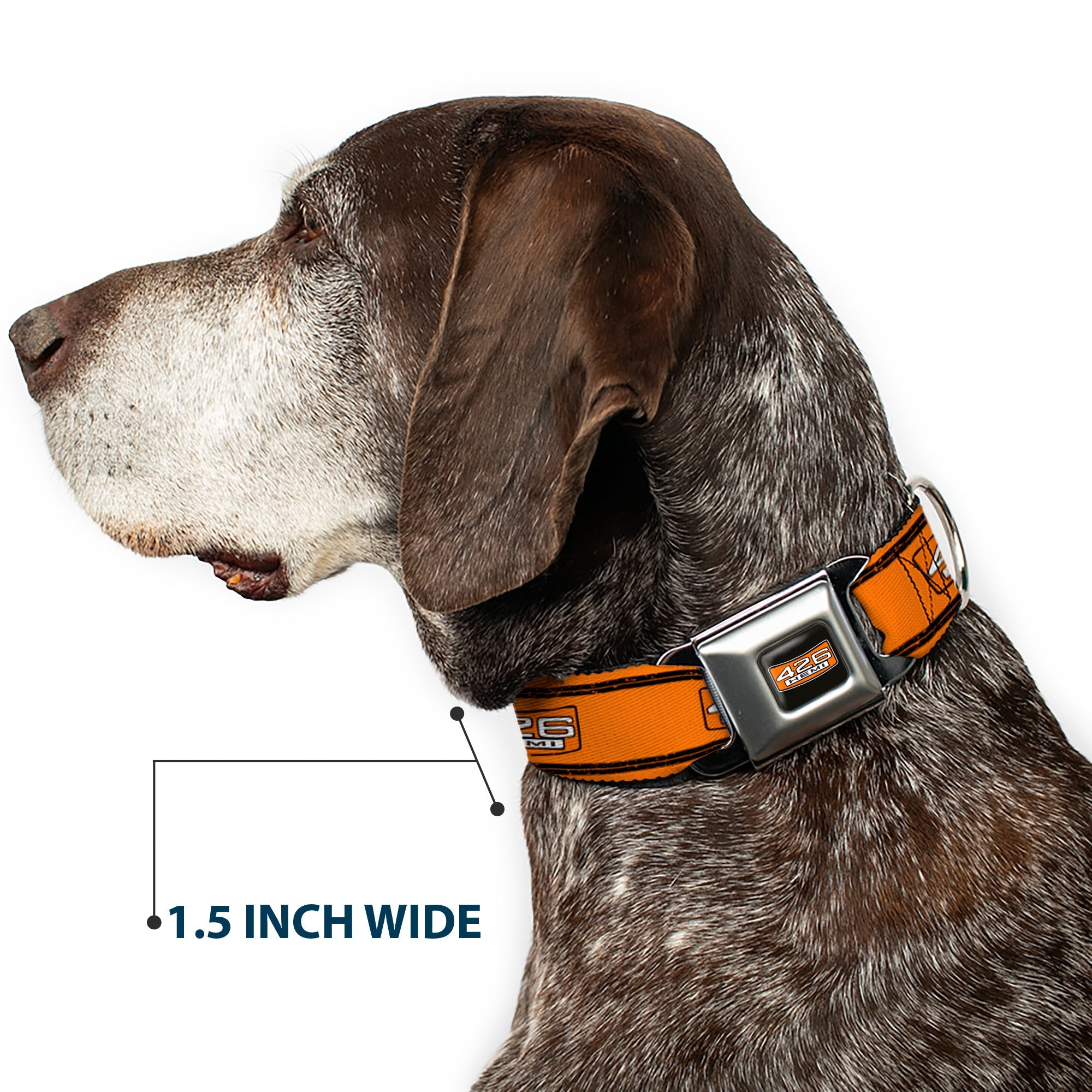 426 HEMI Badge Black/White/Orange Seatbelt Buckle Collar - 426 HEMI Badge/Stripes Weathered Orange/Black/White