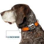 426 HEMI Badge Black/White/Orange Seatbelt Buckle Collar - 426 HEMI Badge/Stripes Weathered Orange/Black/White