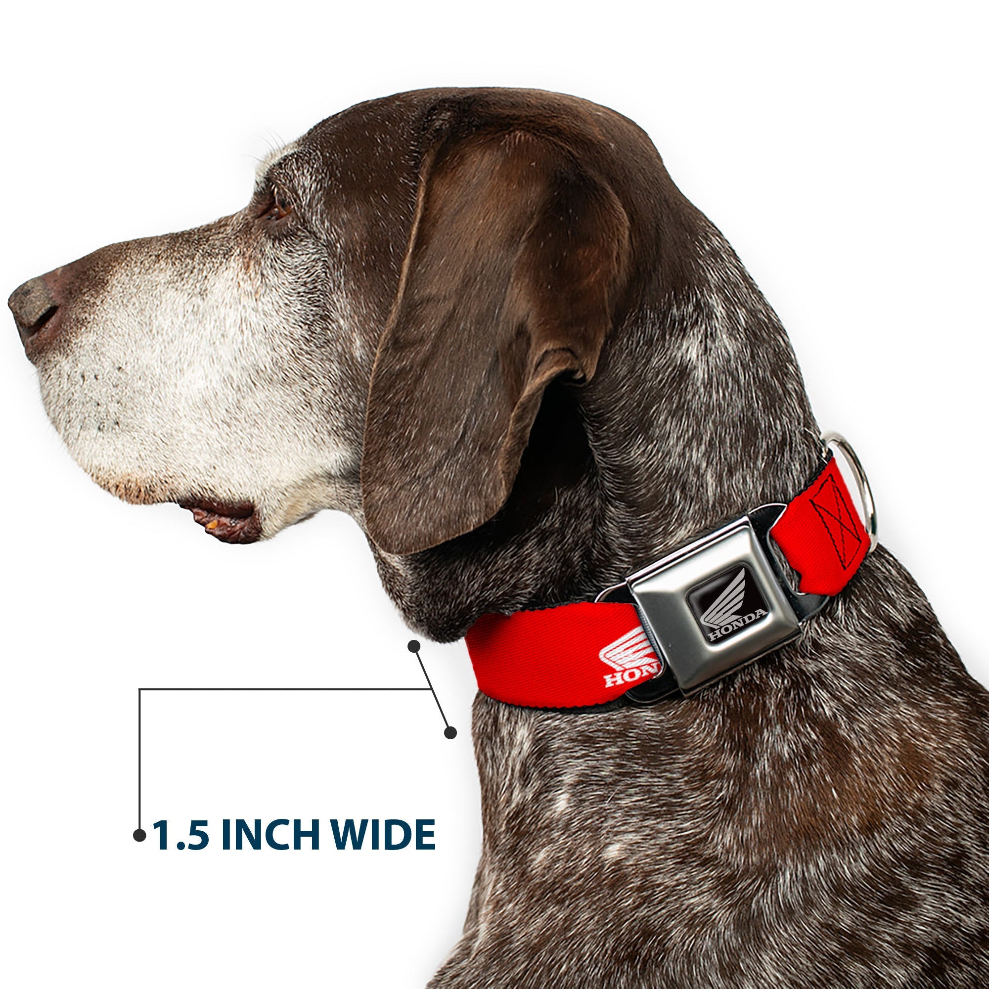 Honda Motorcycle Black/Silver Seatbelt Buckle Collar - HONDA Motorcycle Logo Red/White
