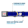 Load image into Gallery viewer, HENDRICK MOTORSPORTS Checker Logo Full Color Red/White Seatbelt Buckle Collar - Chase Elliott #9 Car Scheme Blue/Yellow/White
