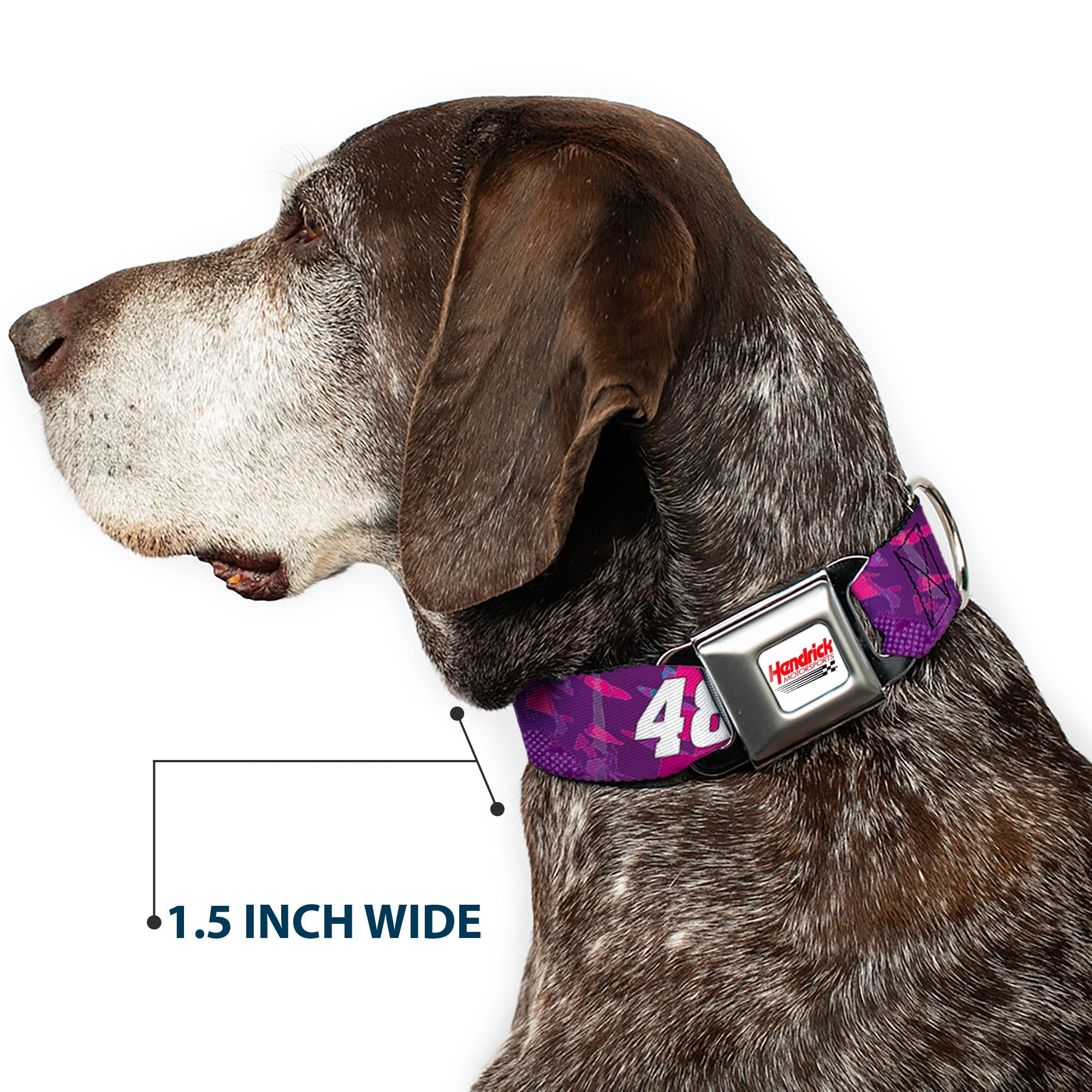 HENDRICK MOTORSPORTS Checker Logo Full Color Red/White Seatbelt Buckle Collar - Alex Bowman #48 Car Scheme Purples/Pinks/White