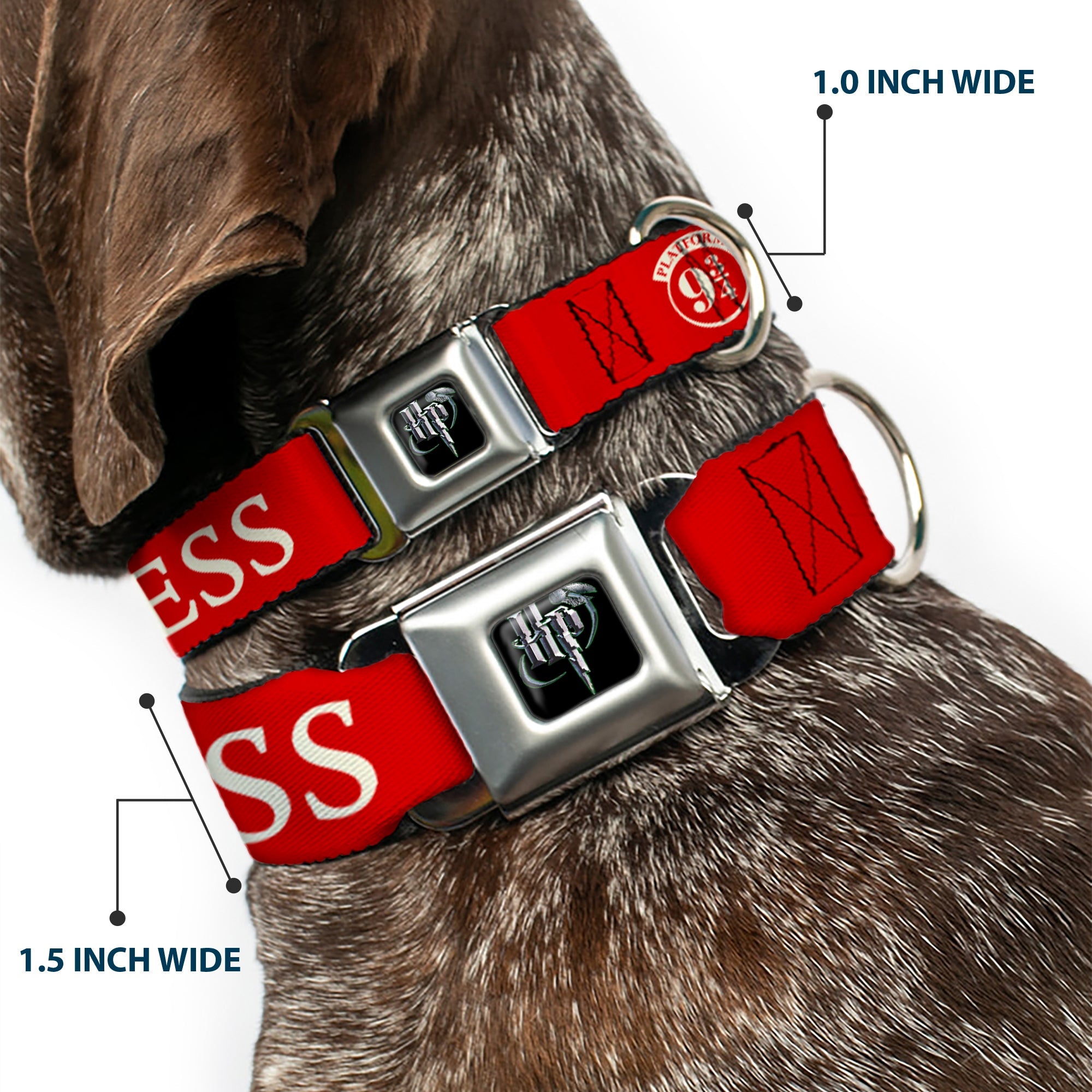 Harry Potter Logo Full Color Black/White Seatbelt Buckle Collar - HOGWARTS EXPRESS 9¾ Red/White