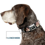 Harry Potter Logo Full Color Black/White Seatbelt Buckle Collar - DOBBY IS FREE/3-Dobby Poses Star Swirls Black/Gold/White