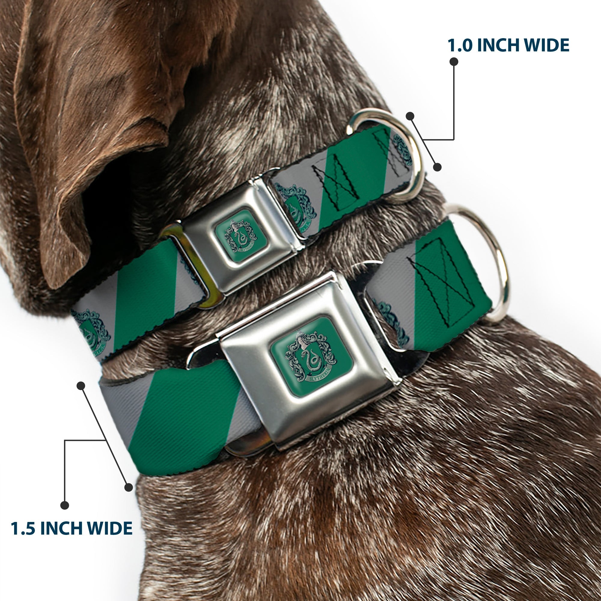 SLYTHERIN Crest Full Color Green Seatbelt Buckle Collar - SLYTHERIN Crest Diagonal Stripe Gray/Green