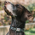 Load image into Gallery viewer, Looney Tunes Logo White Seatbelt Buckle Collar - Looney Tunes 6-Character Stacked Collage4
