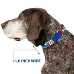 Looney Tunes Logo Full Color White Seatbelt Buckle Collar - BUGS BUNNY w/Bugs Poses Blue