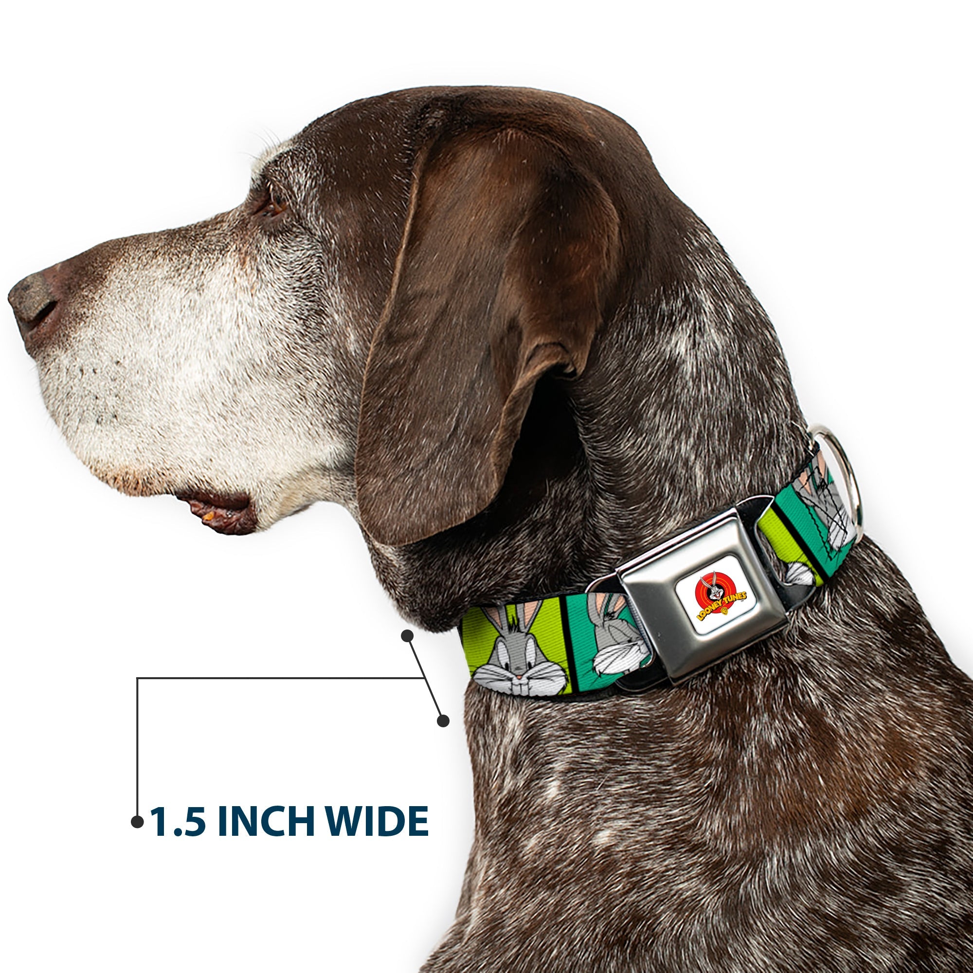 Looney Tunes Logo Full Color White Seatbelt Buckle Collar - Bugs Bunny Expression Blocks Multi Color