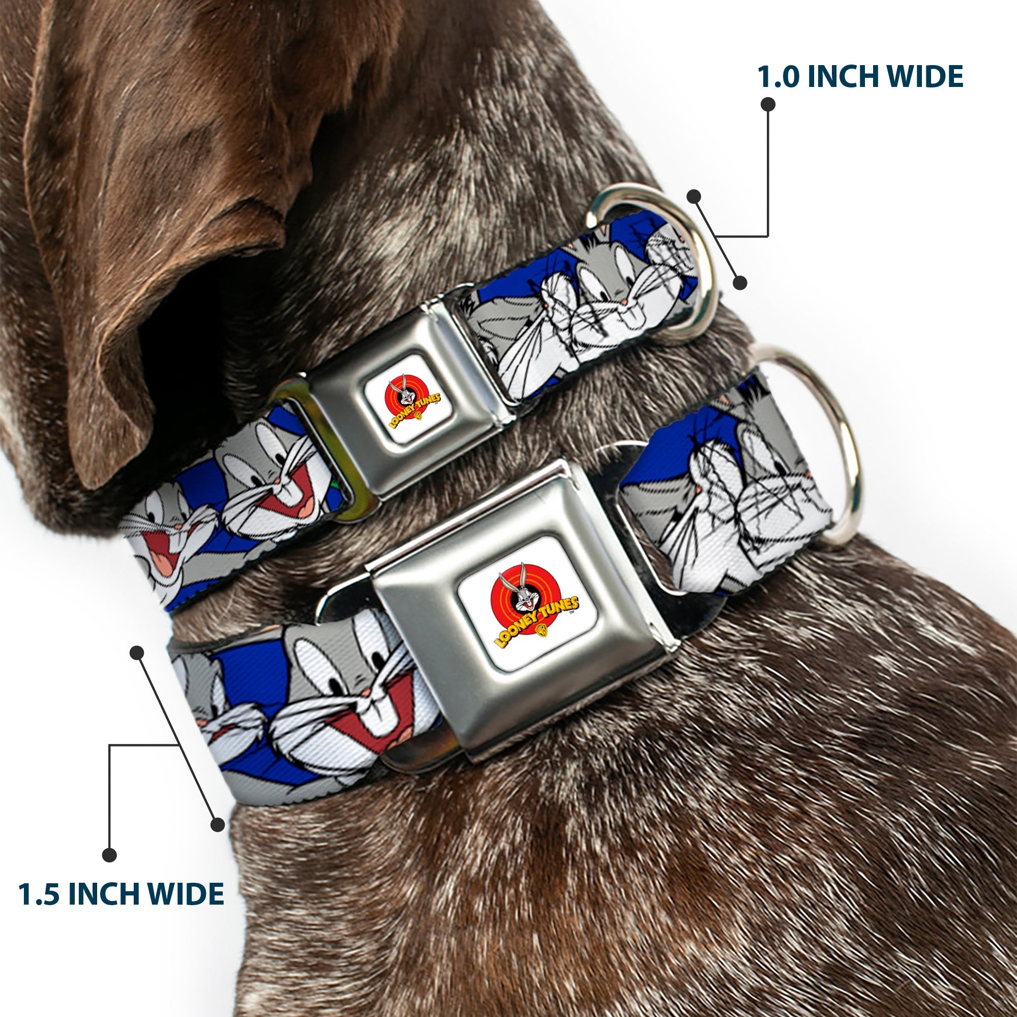 Looney Tunes Logo Full Color White Seatbelt Buckle Collar - Bugs Bunny CLOSE-UP Poses Blue